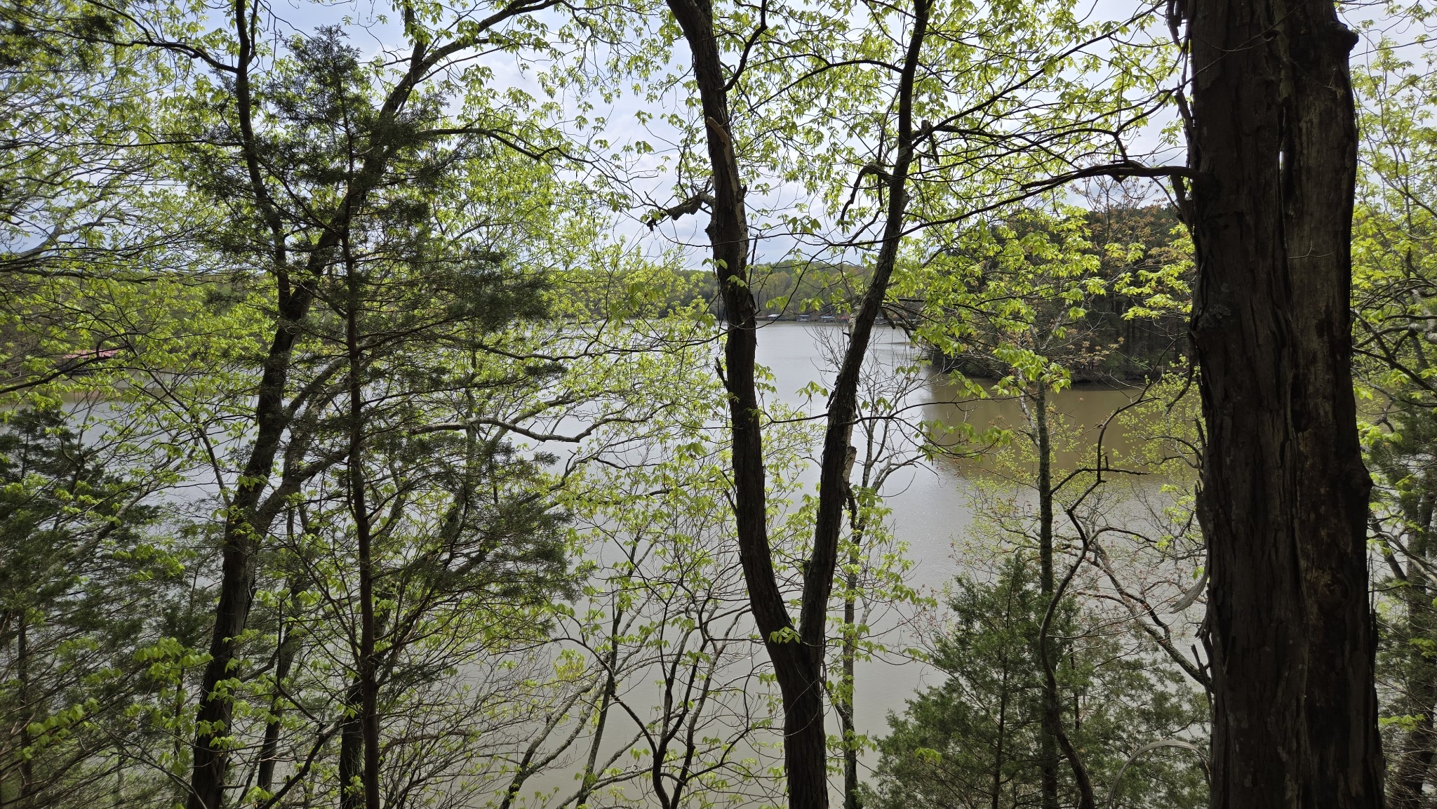 1025 Cave Springs Rd Property Photo 3