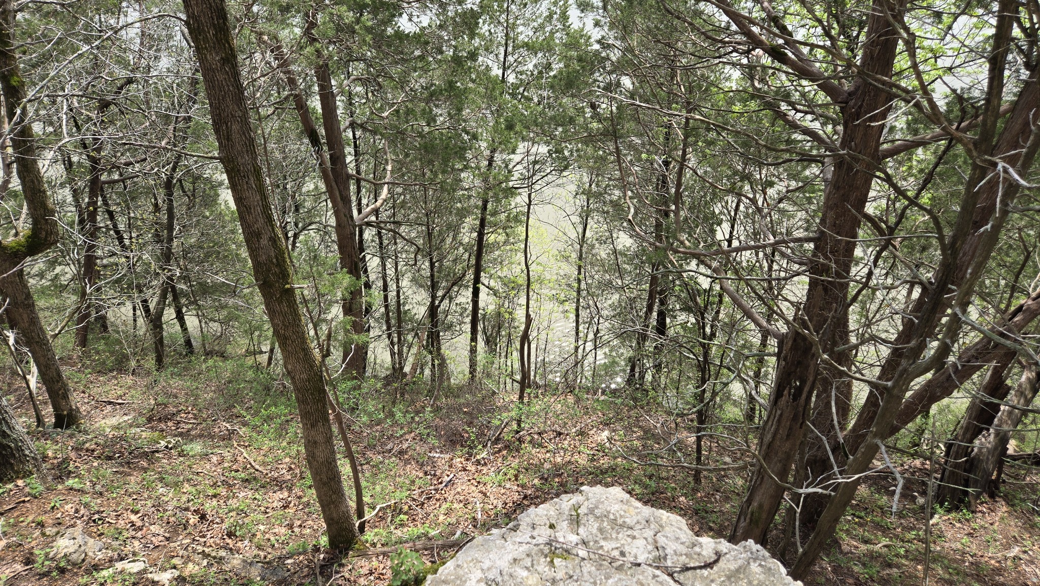 1025 Cave Springs Rd Property Photo 4