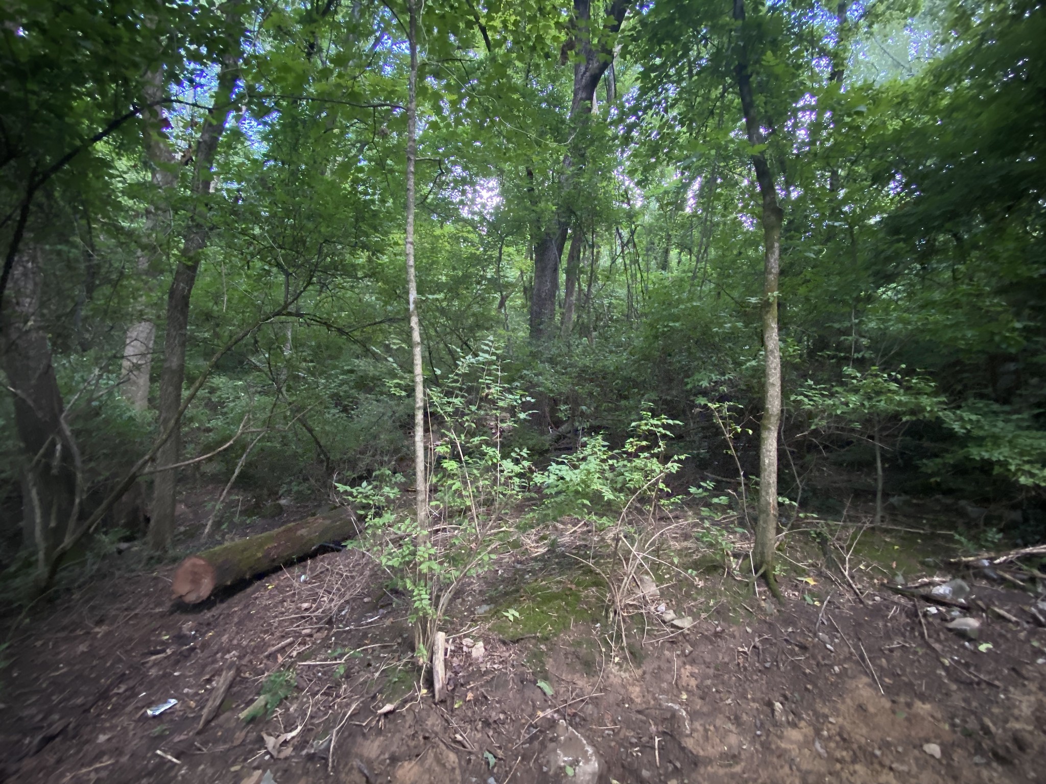 5110 W Concord Rd Property Photo 5