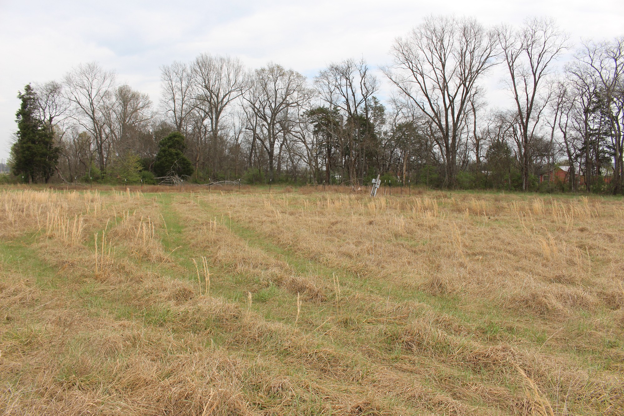 10963 Highway 99 Property Photo 9