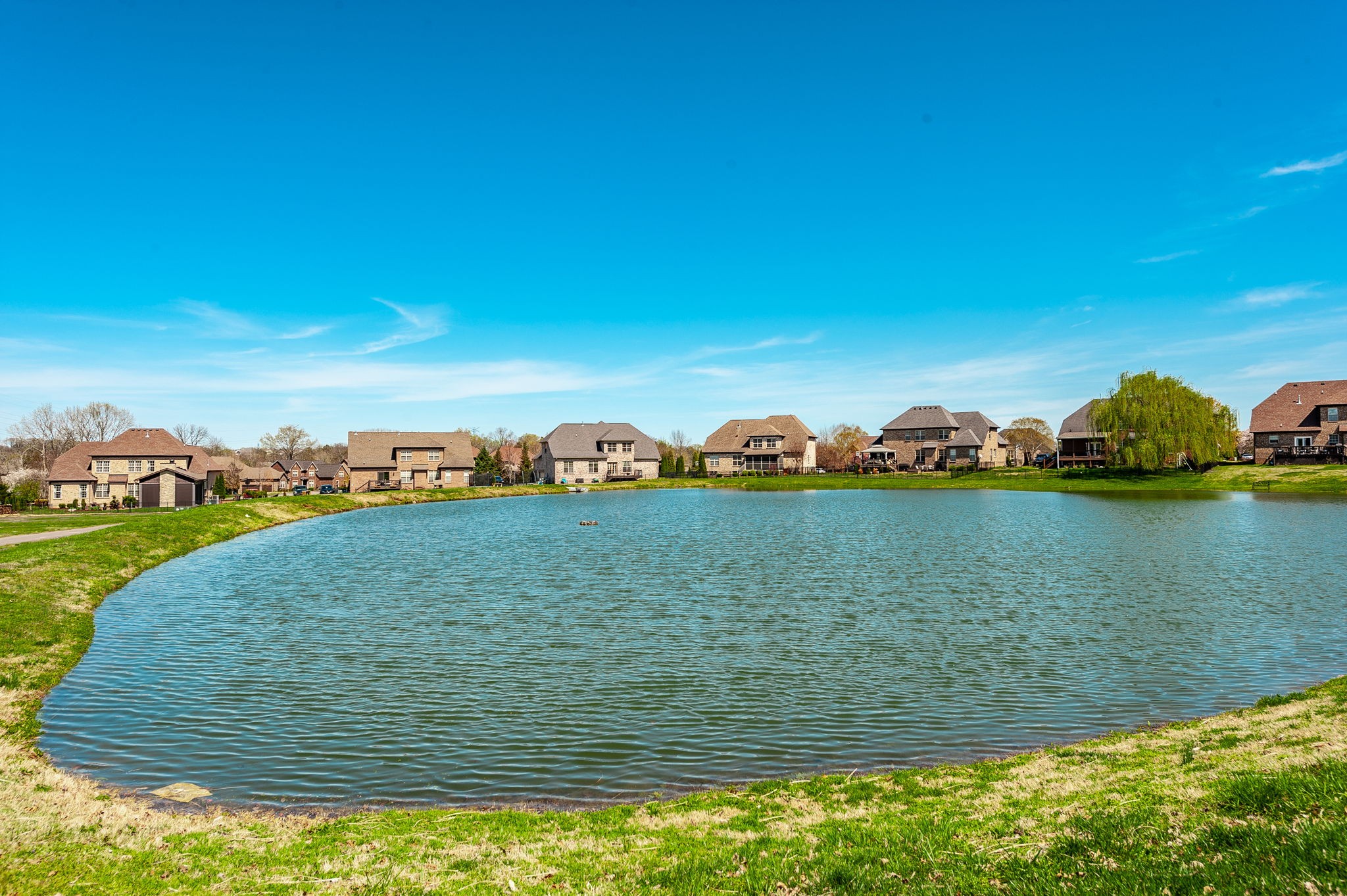 169 Wynbrooke Trce Property Photo 45