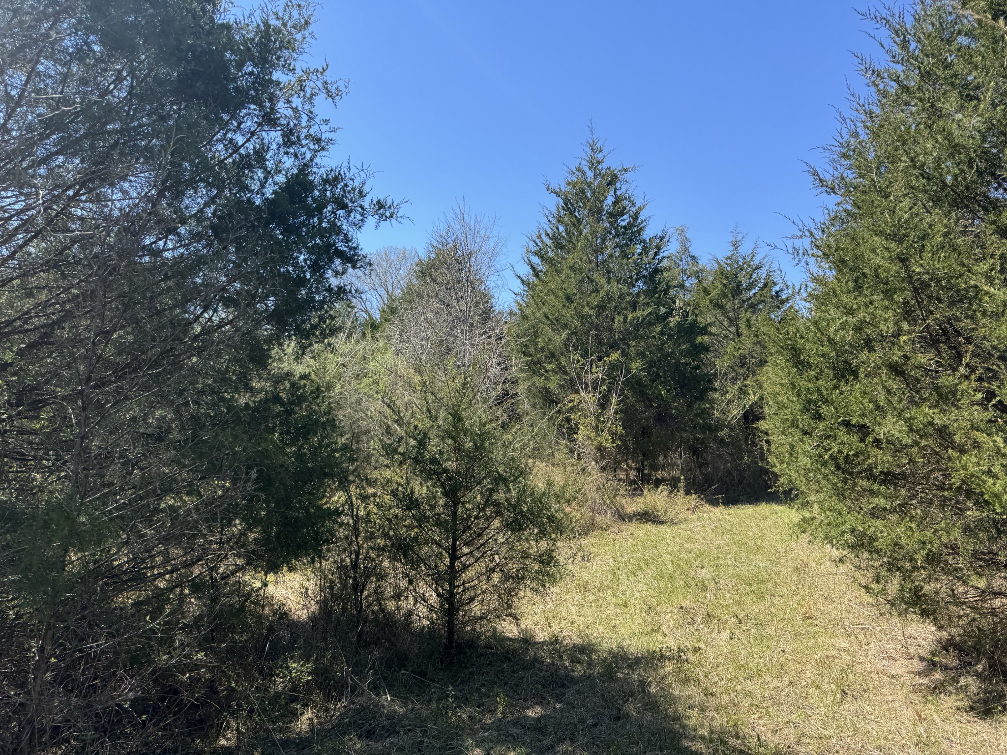 0 Baker Road Property Photo 29