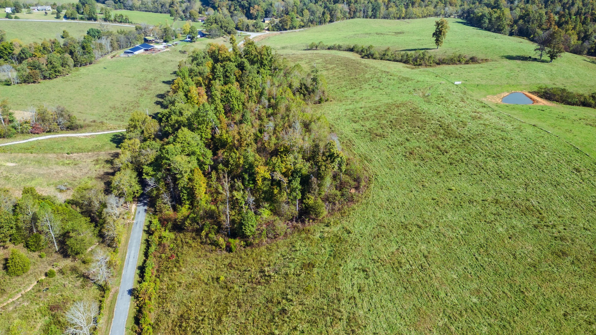 0 Brigham Branch Property Photo 4