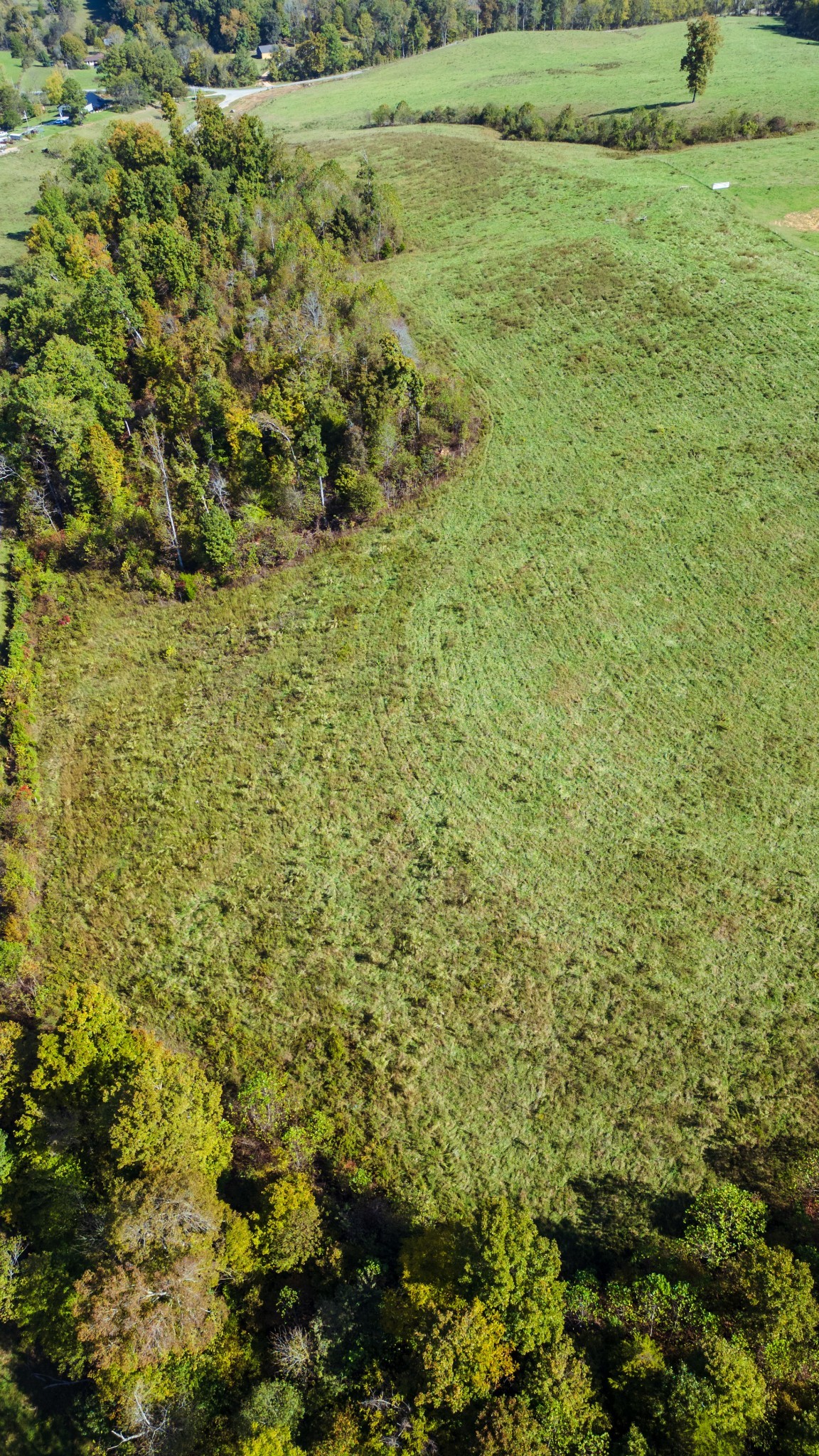 0 Brigham Branch Property Photo 6