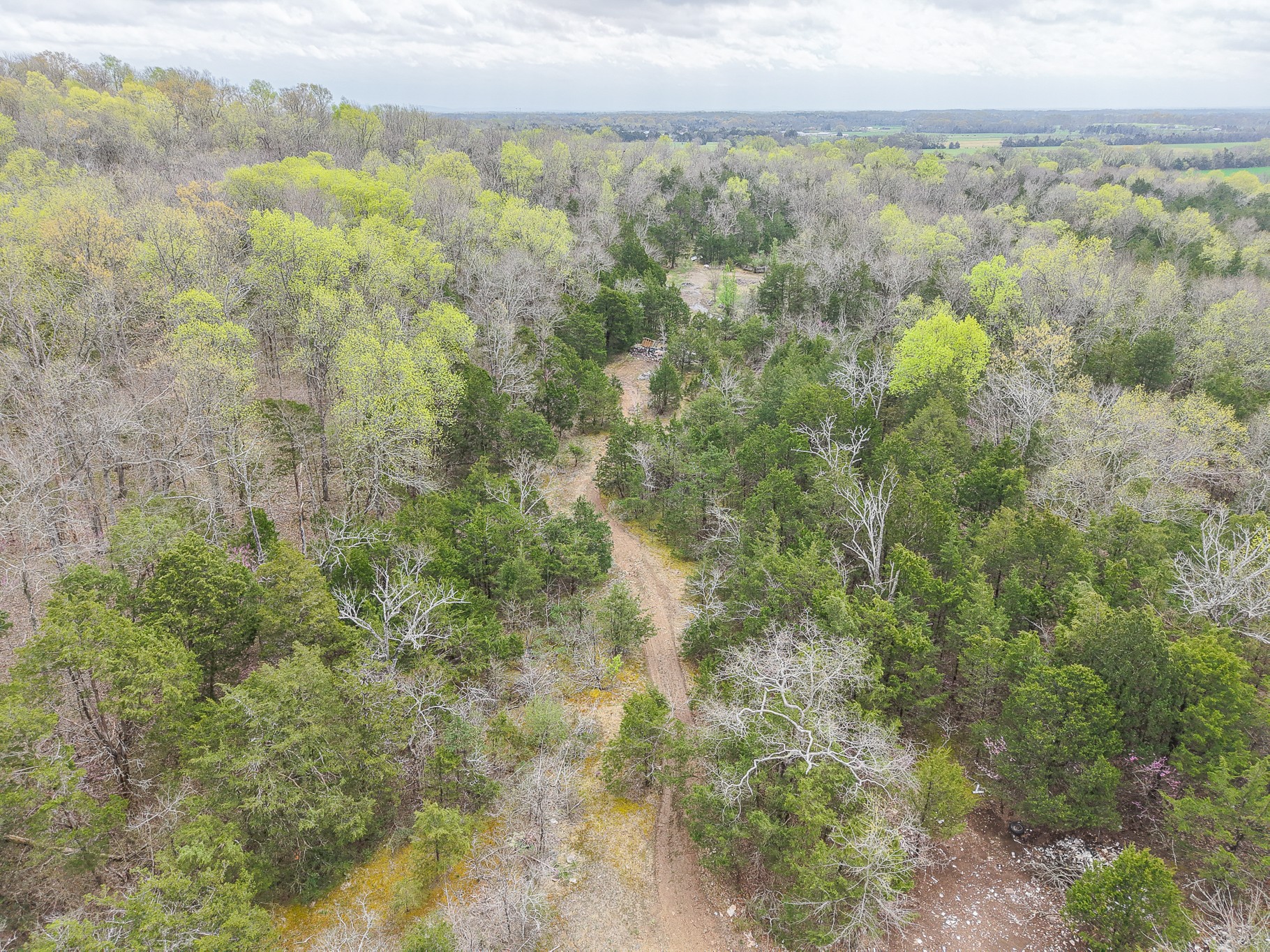 1705 Chapel Hill Pike Property Photo 17
