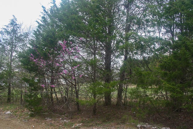 1705 Chapel Hill Pike Property Photo 20