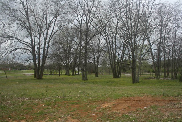 1705 Chapel Hill Pike Property Photo 23
