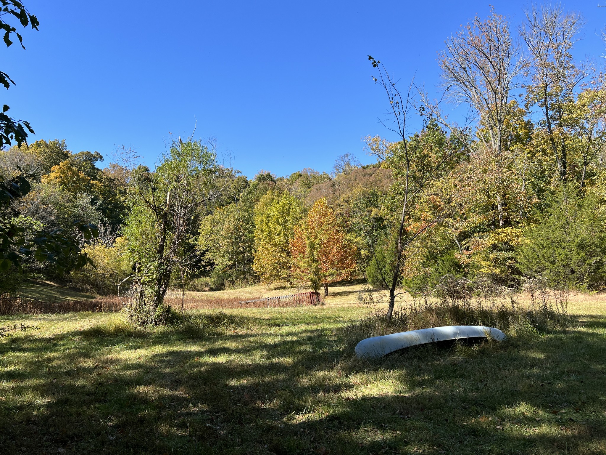 10515 Paw Paw Springs Rd Property Photo 3