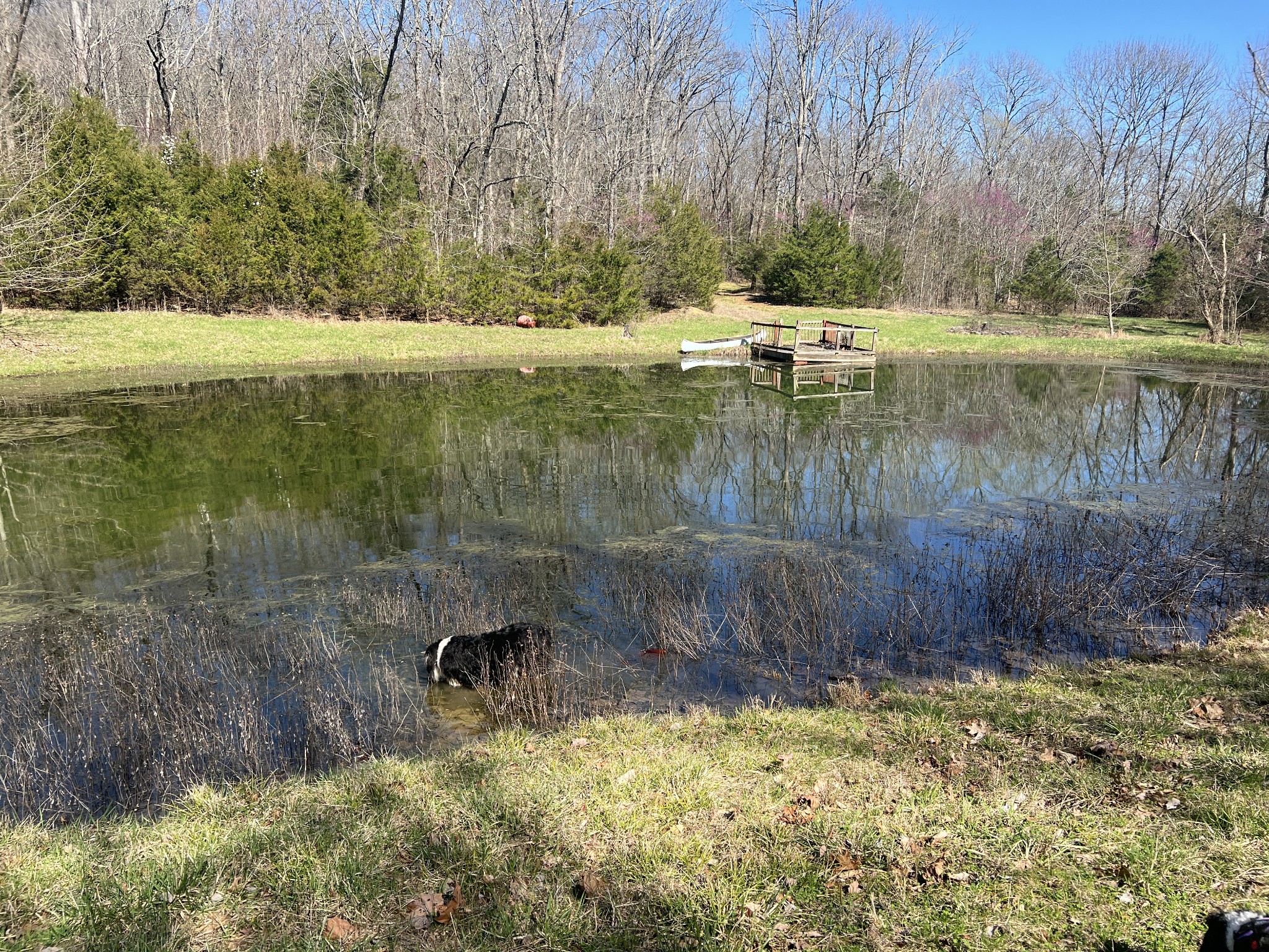 10515 Paw Paw Springs Rd Property Photo 7