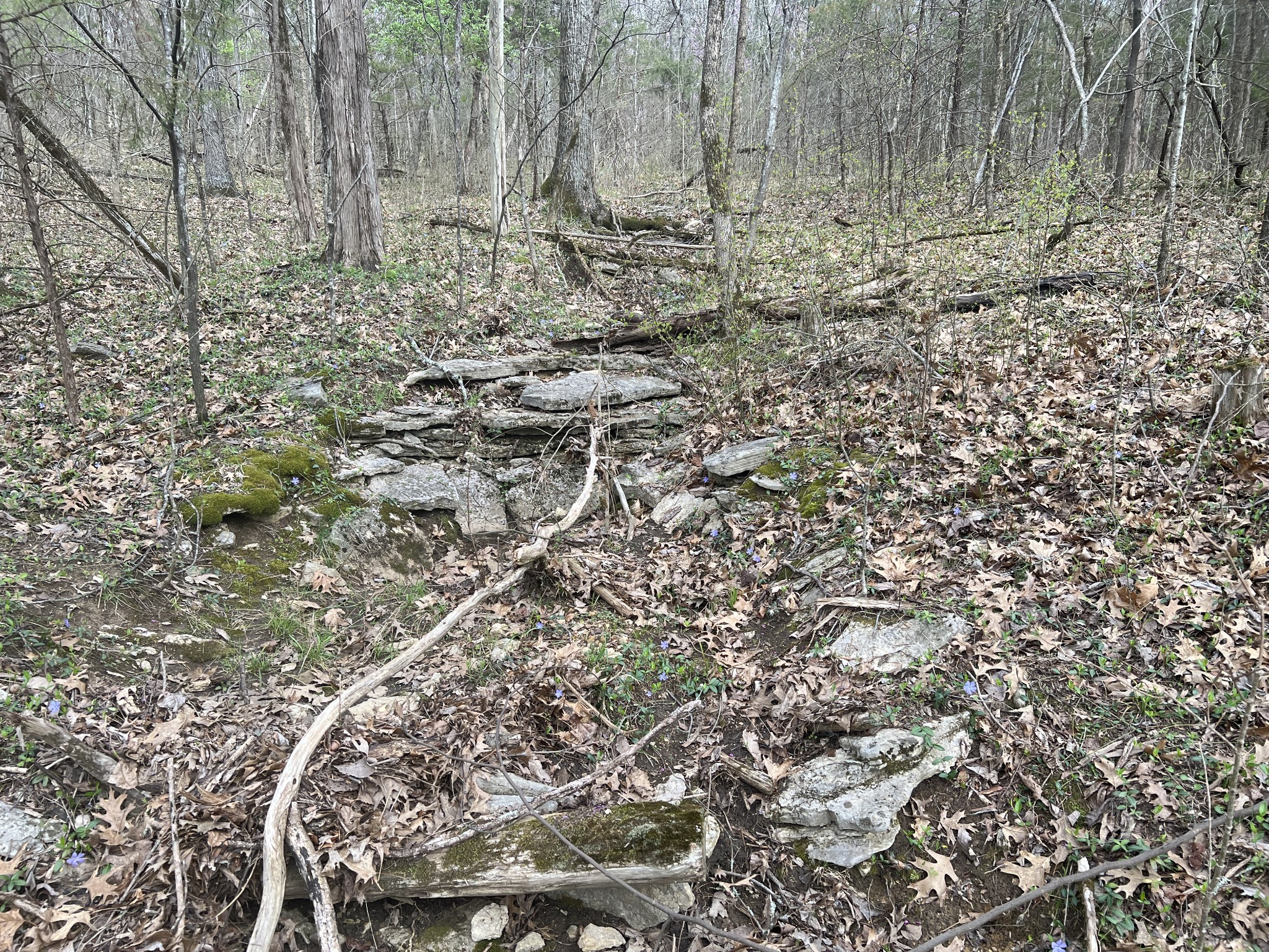 10515 Paw Paw Springs Rd Property Photo 11