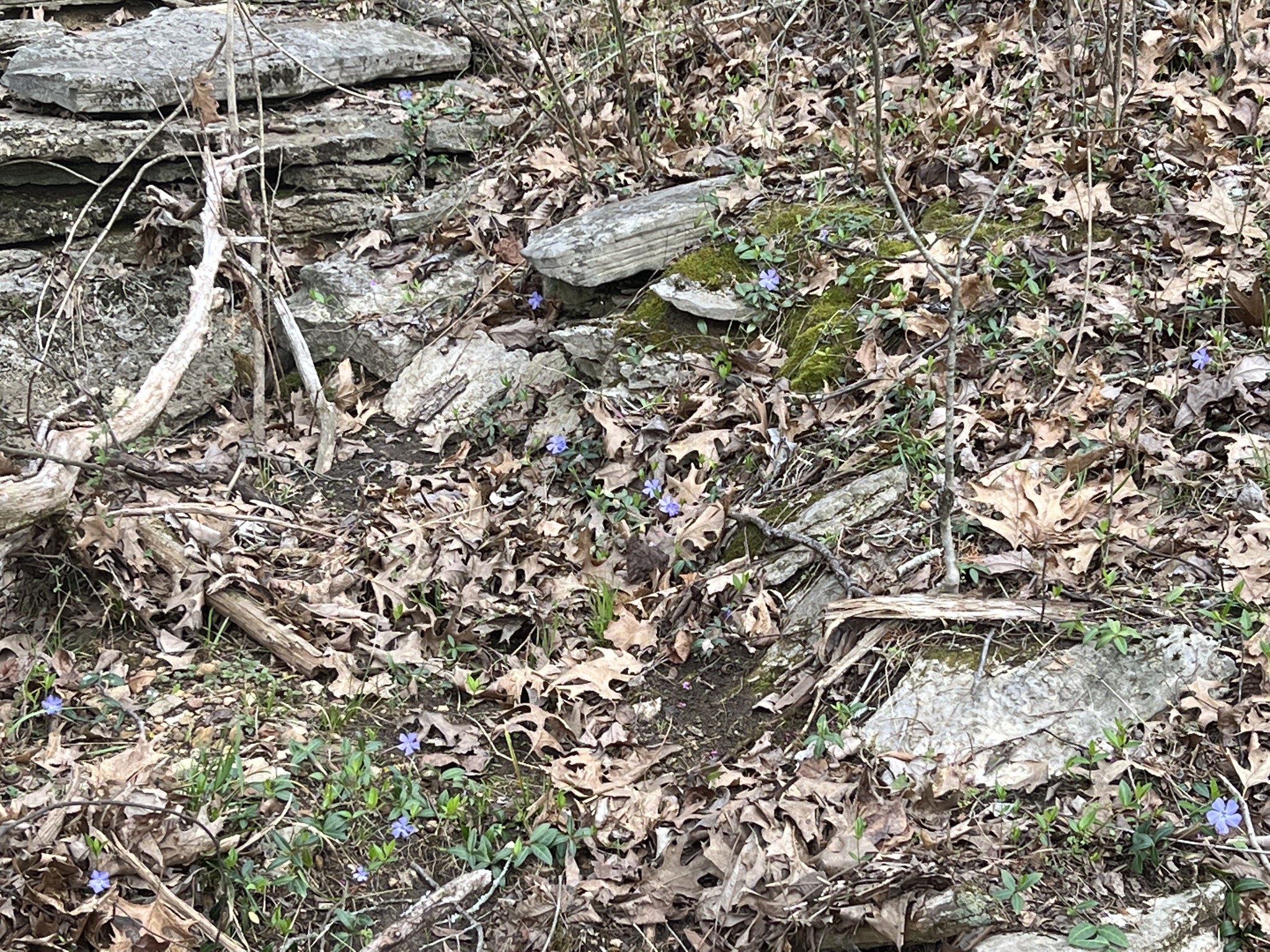 10515 Paw Paw Springs Rd Property Photo 12