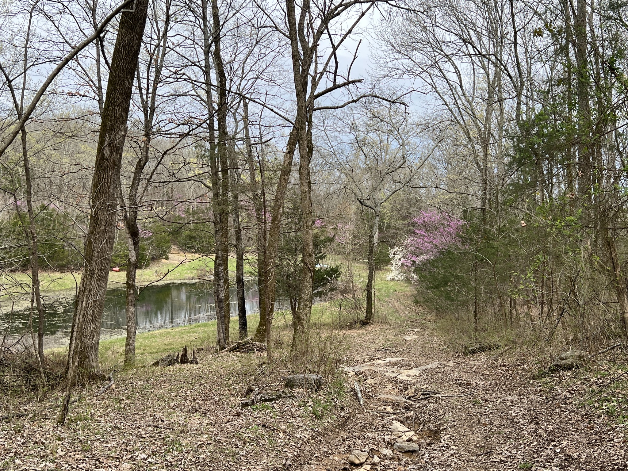10515 Paw Paw Springs Rd Property Photo 13