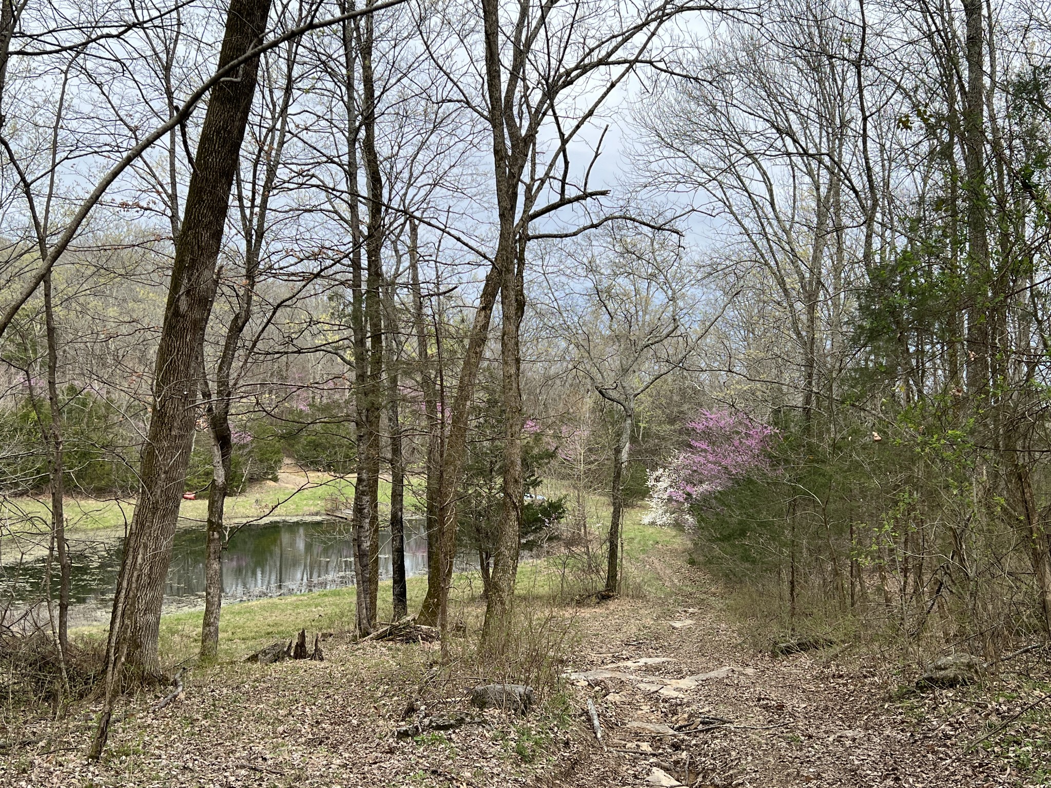 10515 Paw Paw Springs Rd Property Photo 14