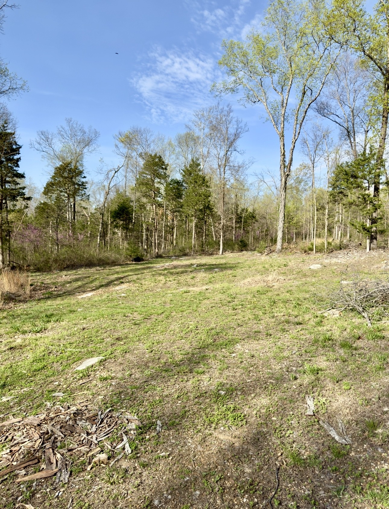 0 Buncombe Rd Property Photo 1