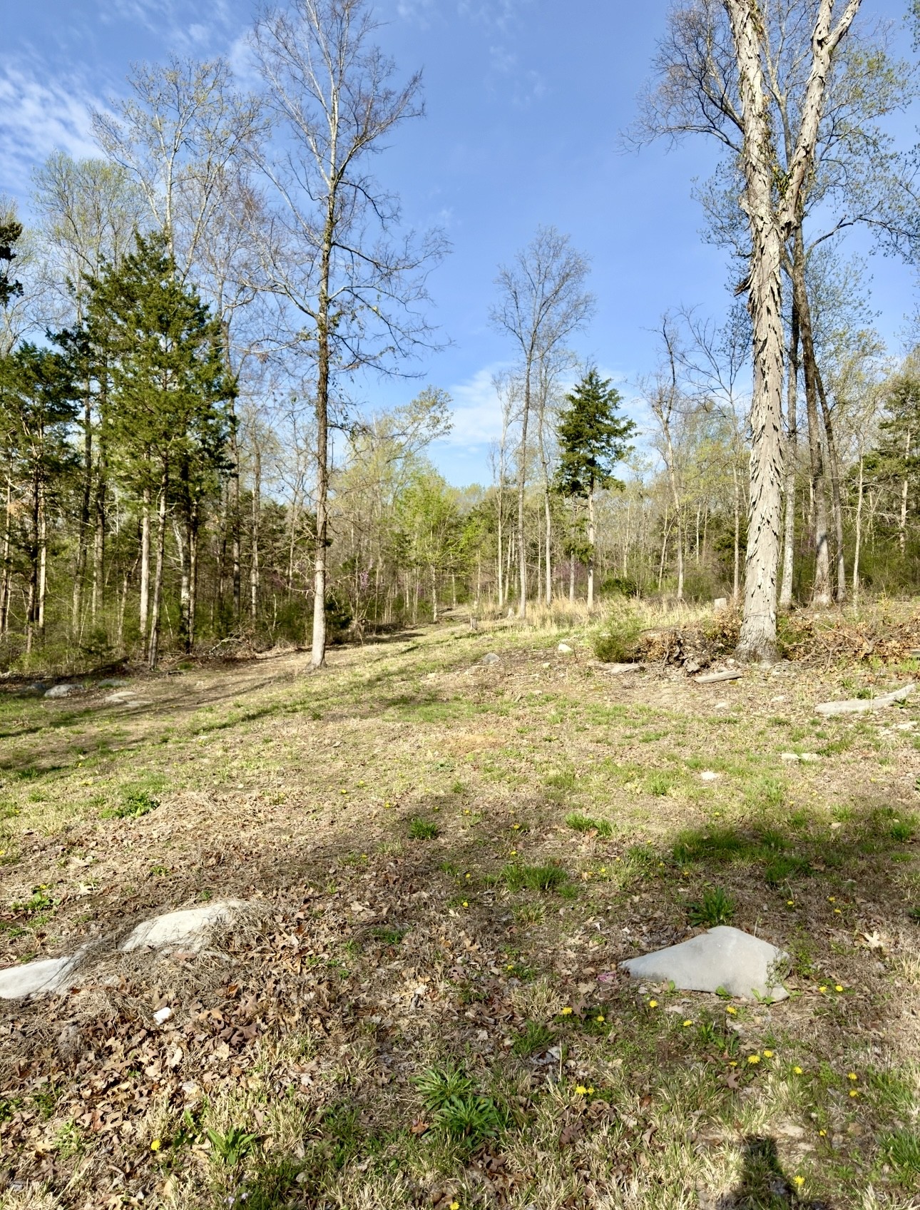 0 Buncombe Rd Property Photo 4