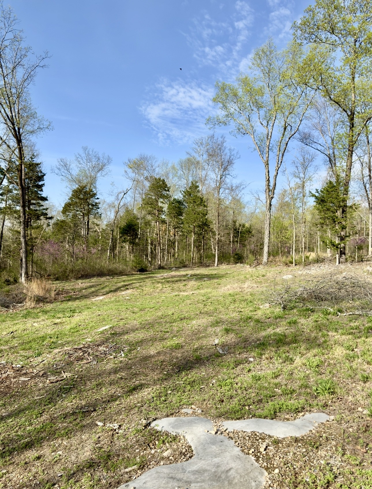 0 Buncombe Rd Property Photo 5