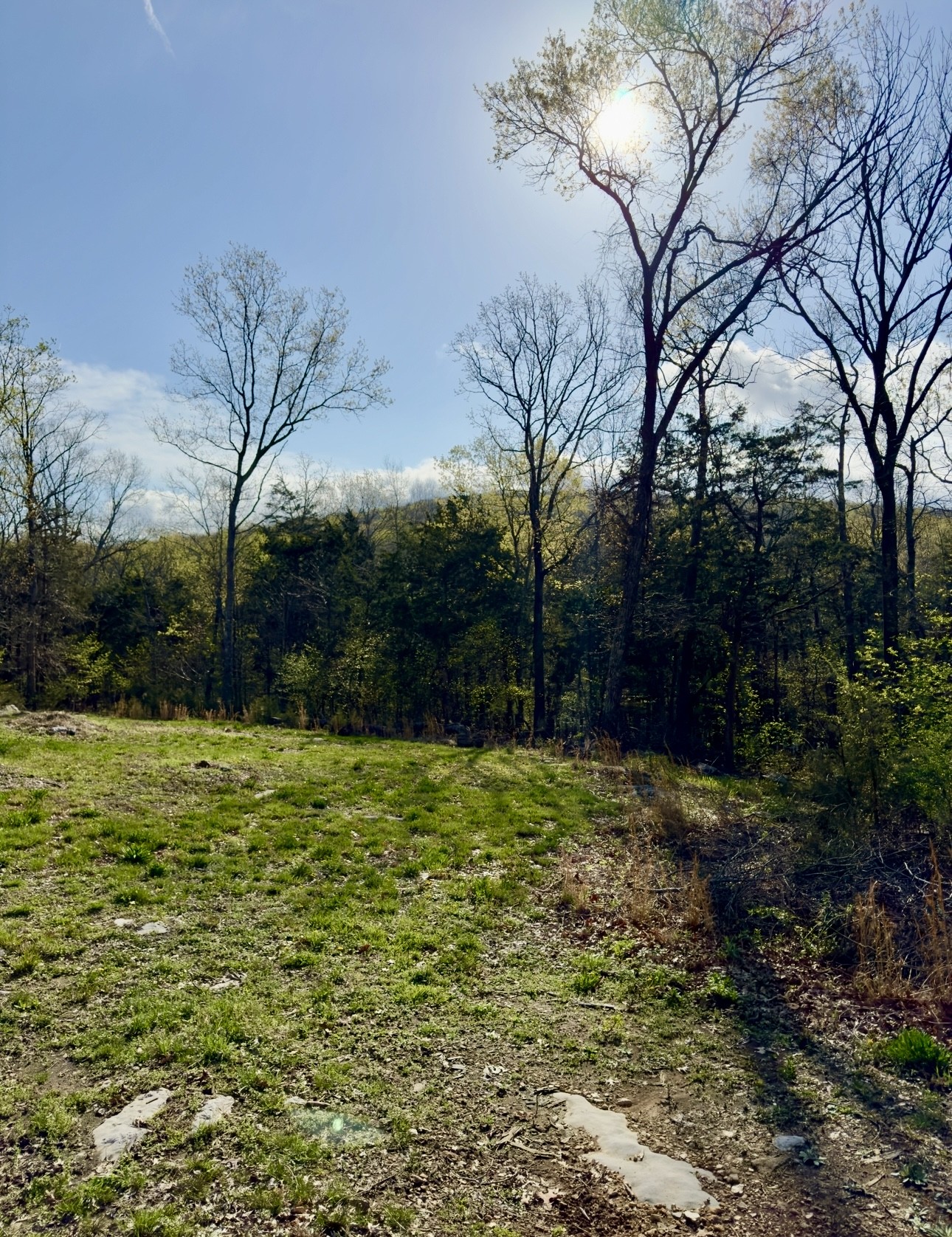 0 Buncombe Rd Property Photo 6