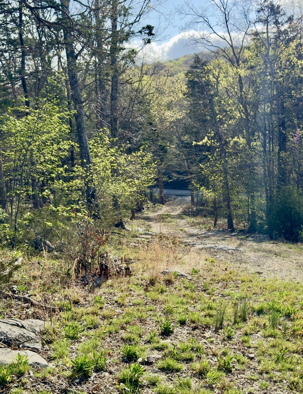 0 Buncombe Rd Property Photo 7