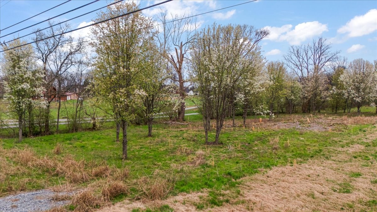 174 Deshea Creek Rd Property Photo 1