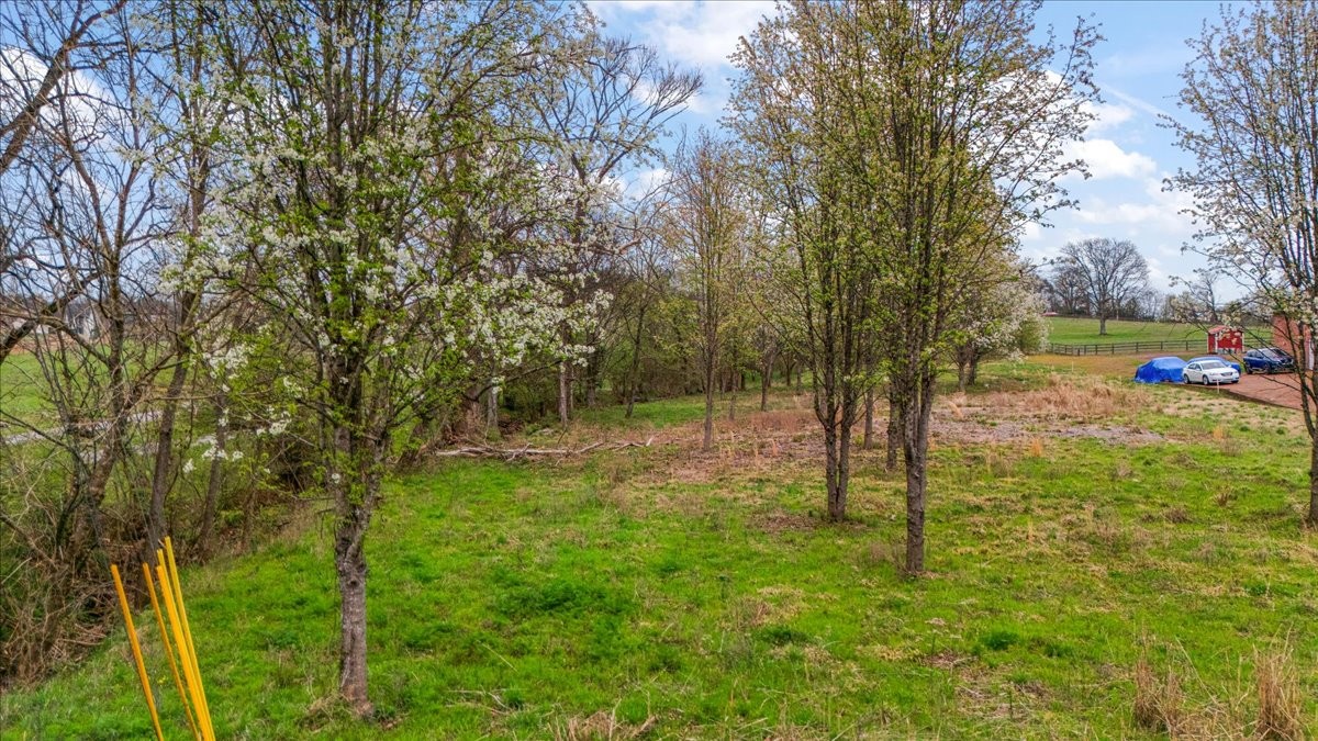 174 Deshea Creek Rd Property Photo 2