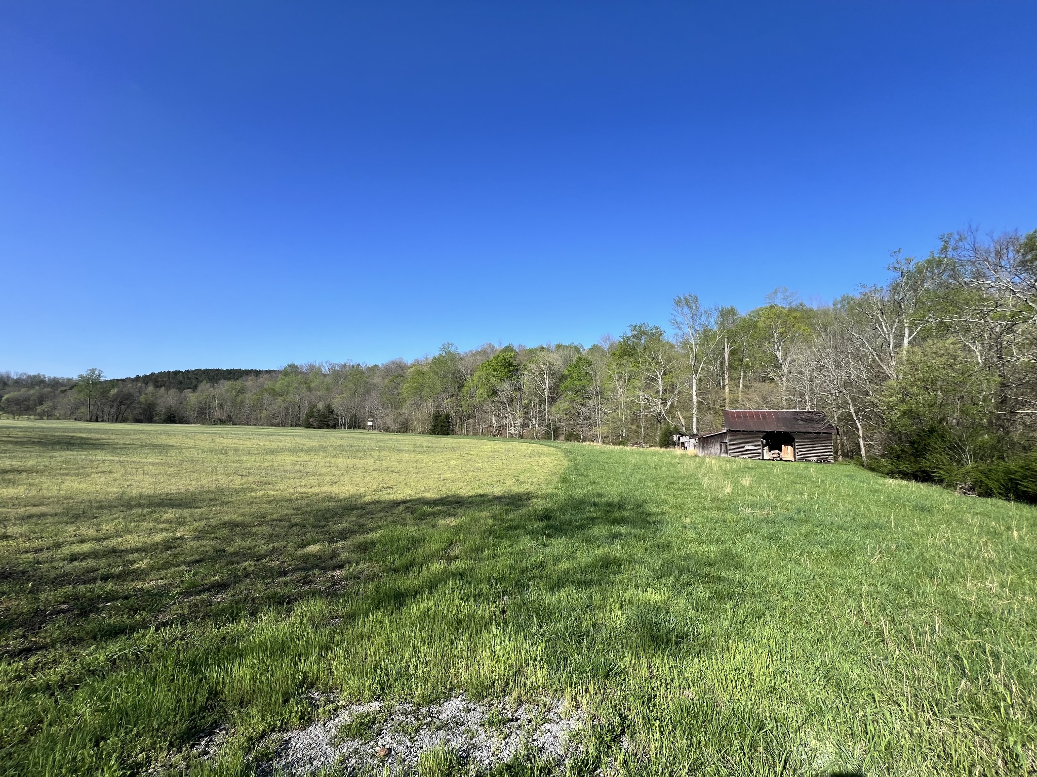 3794b Wayland Springs Rd Property Photo 3