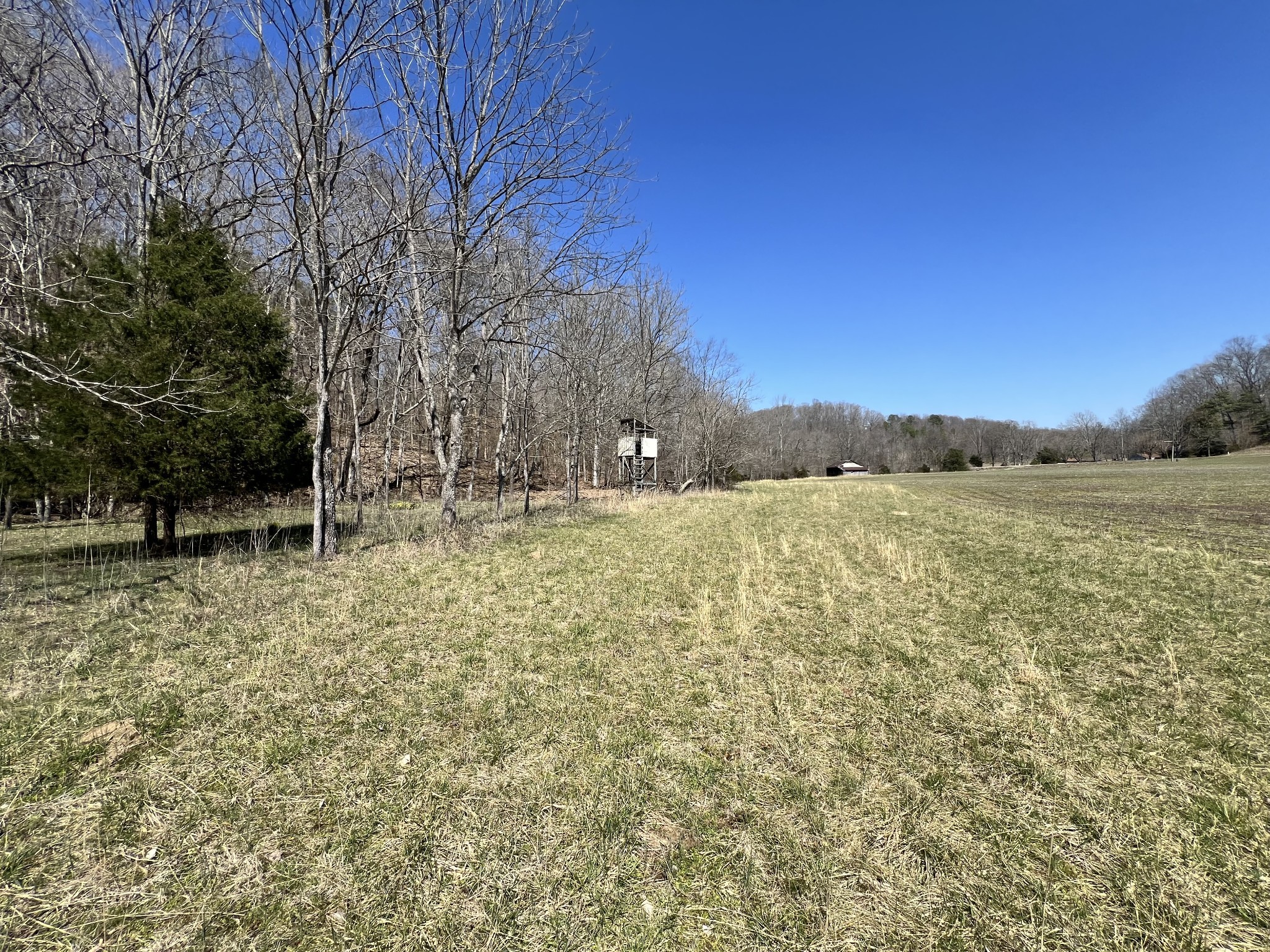 3794b Wayland Springs Rd Property Photo 8
