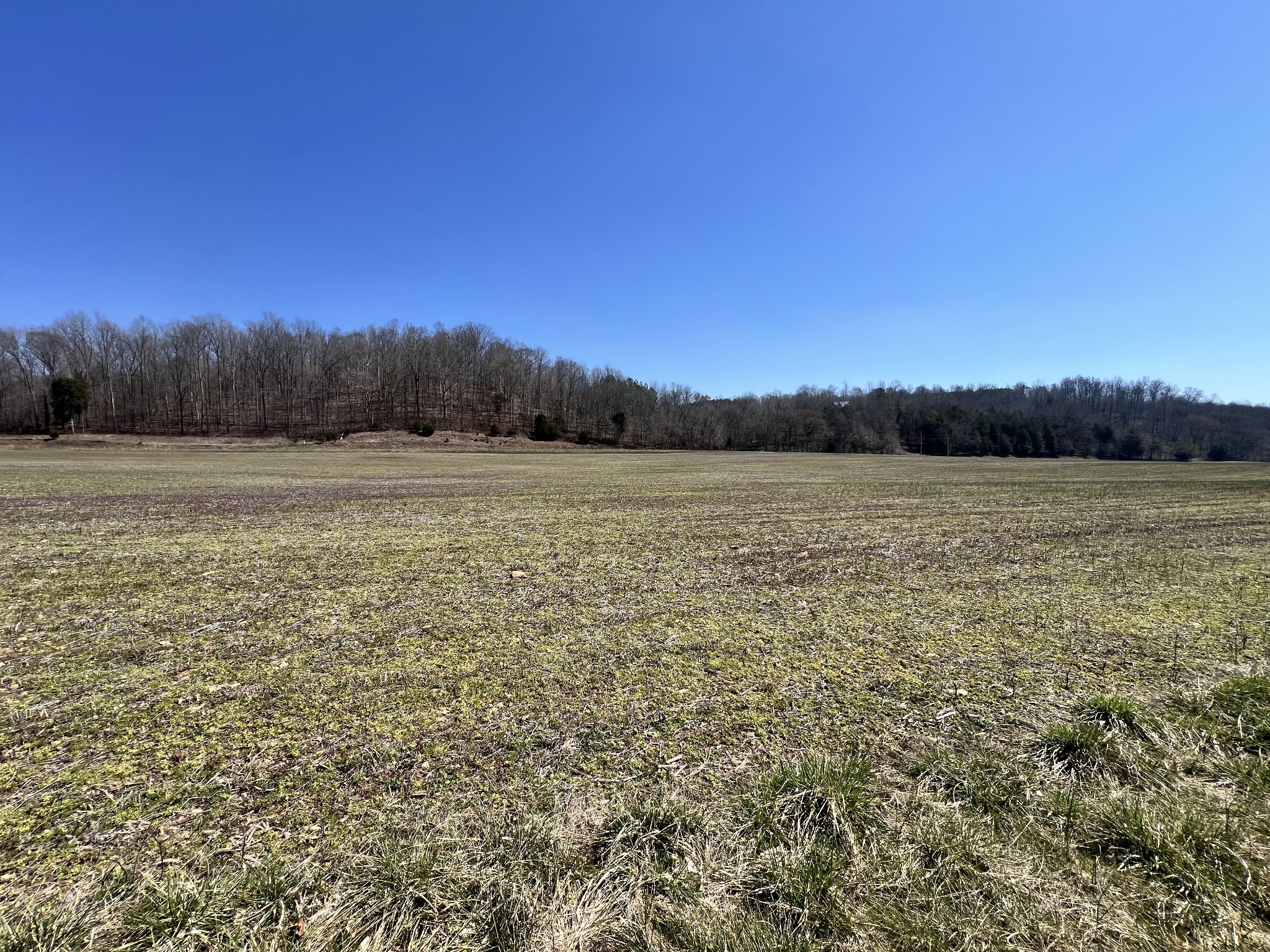 3794b Wayland Springs Rd Property Photo 9