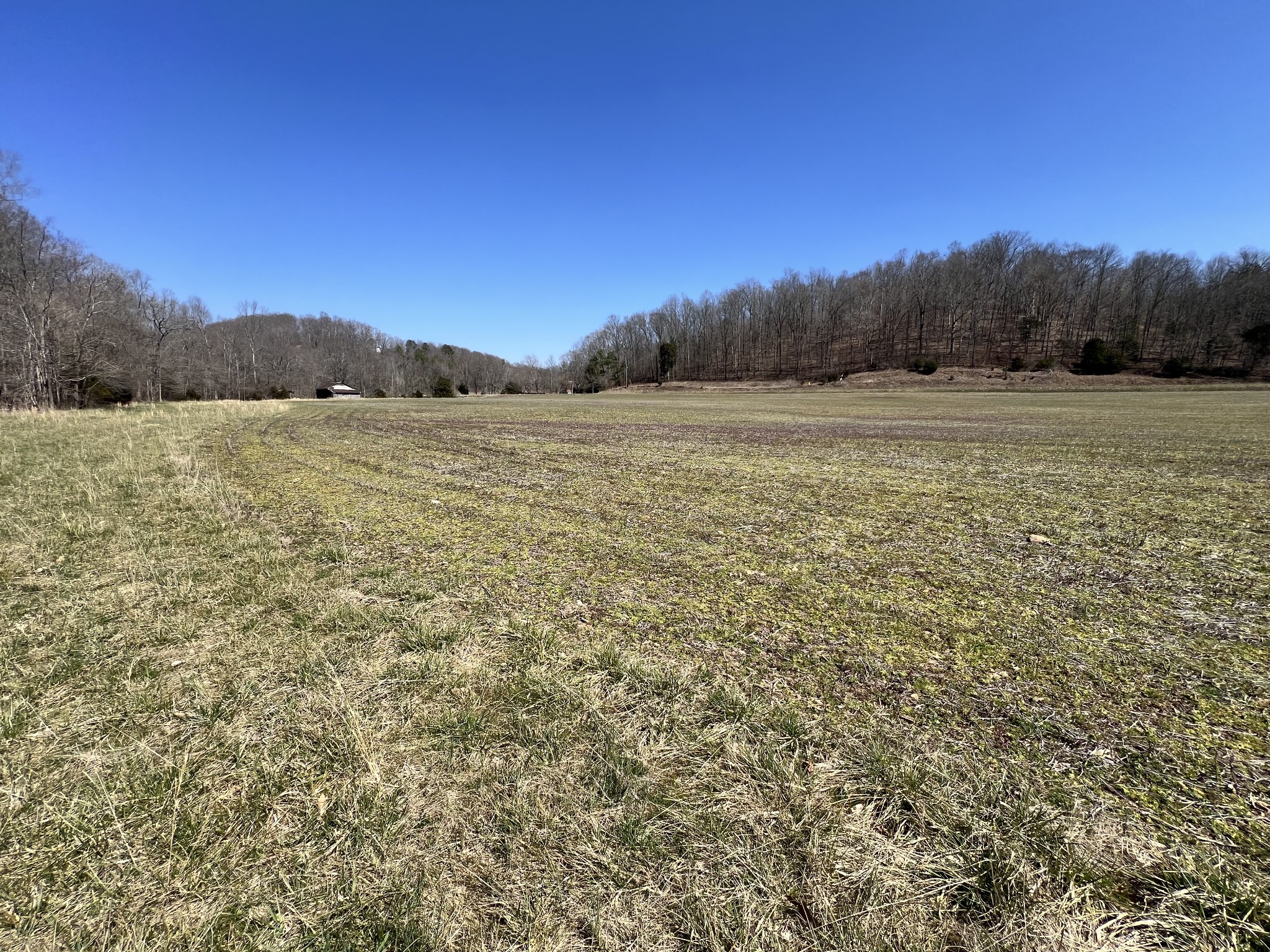 3794b Wayland Springs Rd Property Photo 10