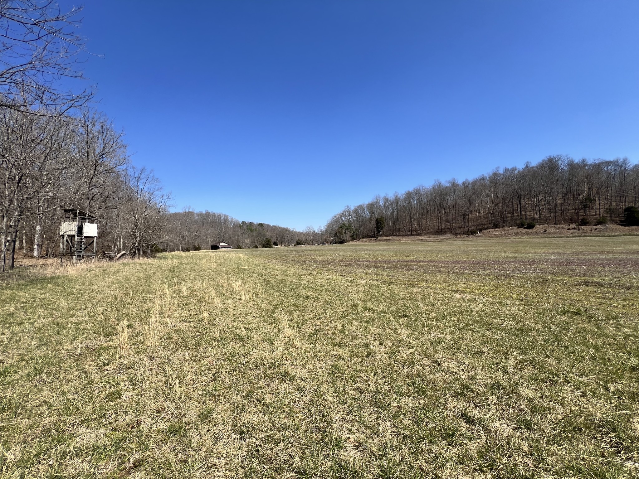 3794b Wayland Springs Rd Property Photo 11