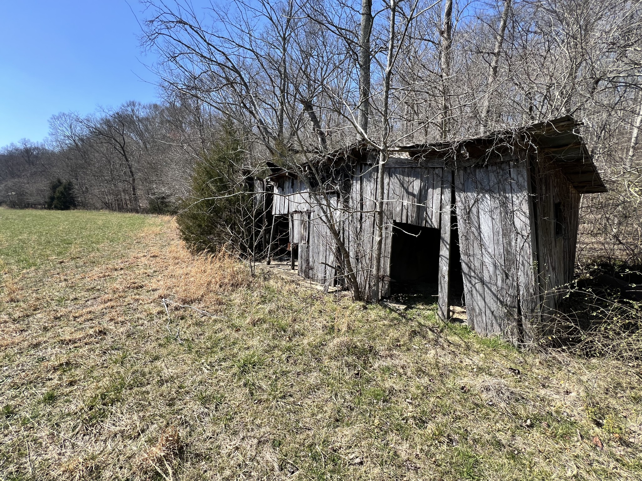 3794b Wayland Springs Rd Property Photo 26