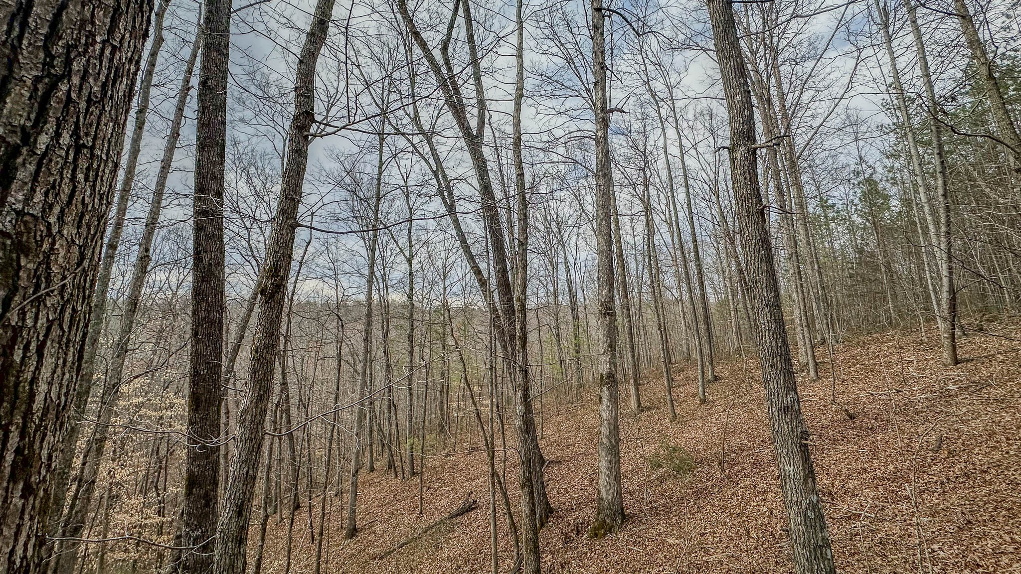 0 Highway 100 Property Photo 10