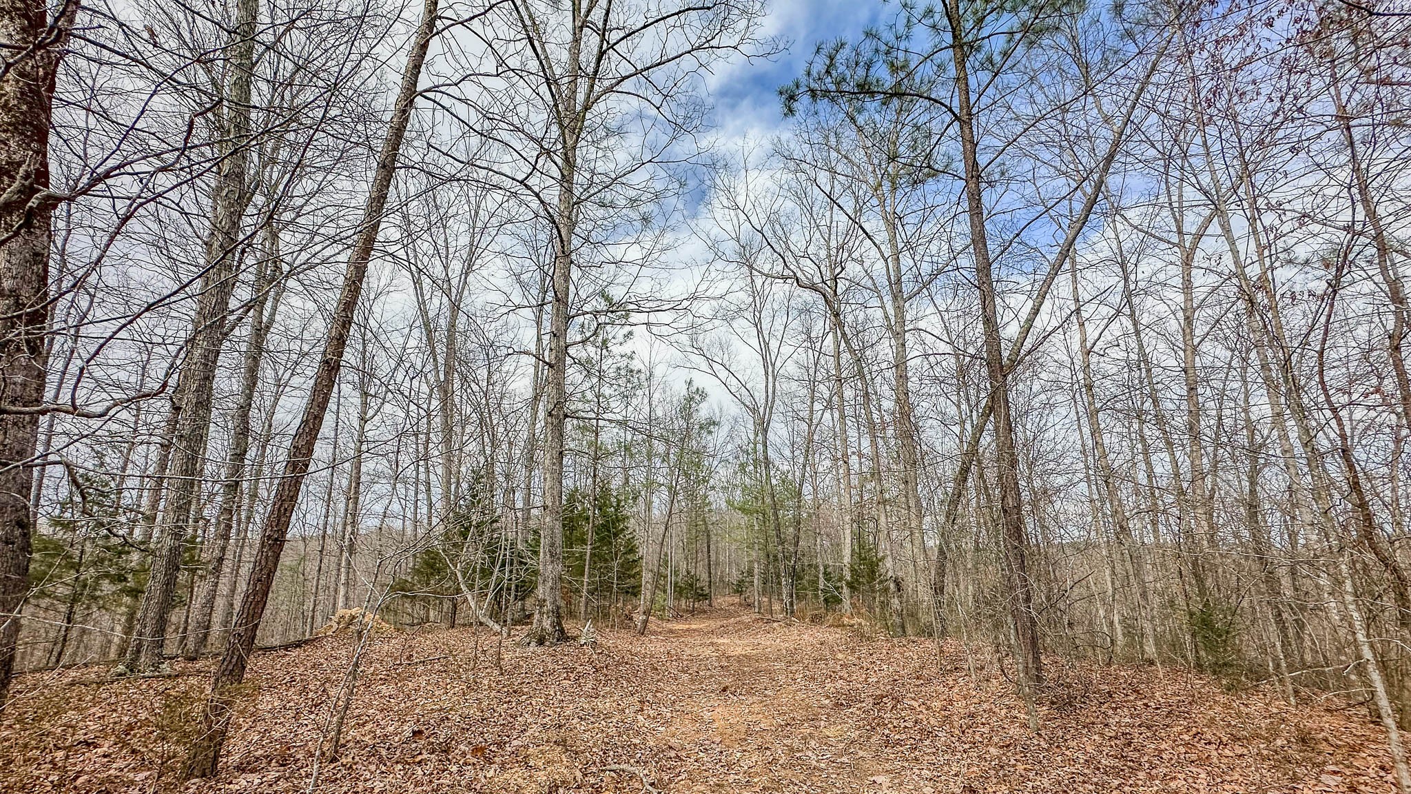 0 Highway 100 Property Photo 12