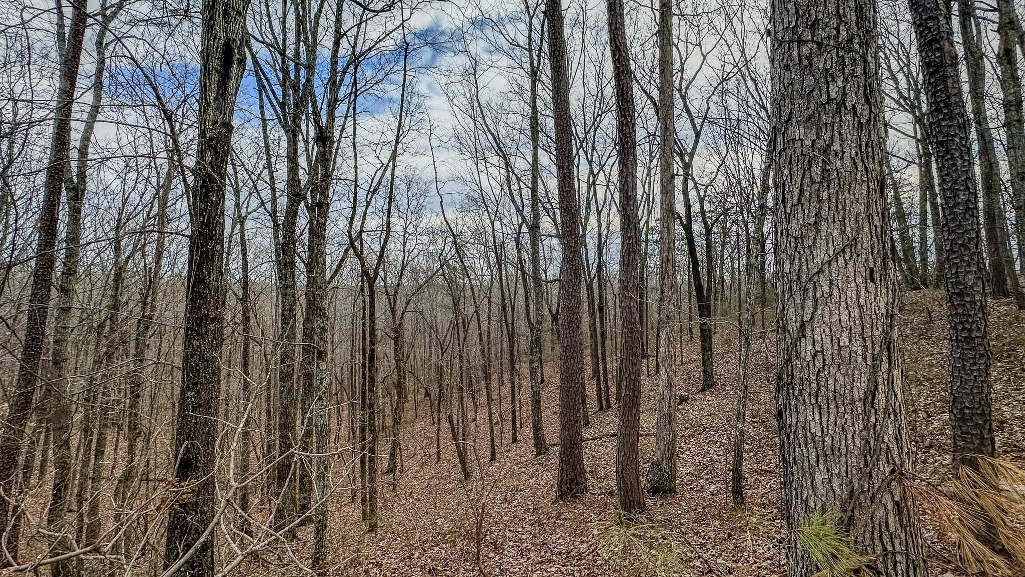 0 Highway 100 Property Photo 13