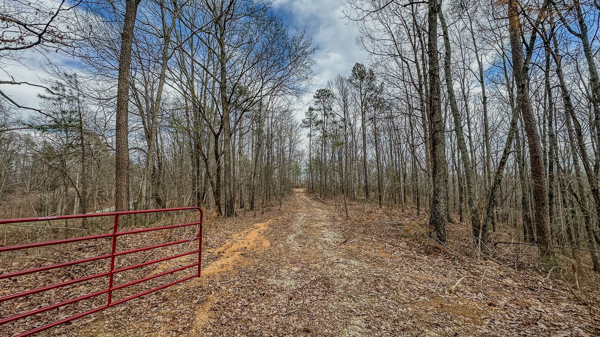 0 Highway 100 Property Photo 15