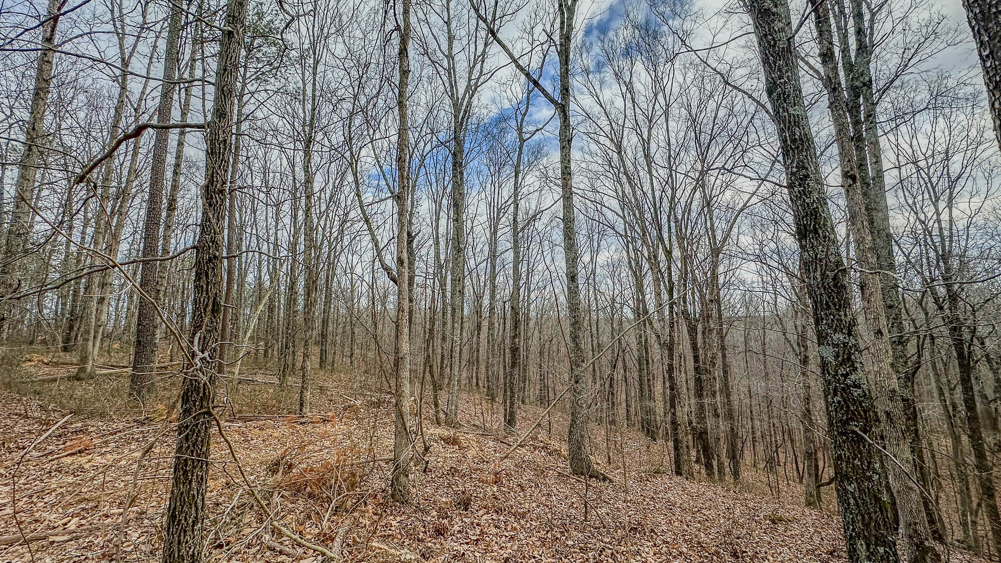 0 Highway 100 Property Photo 16