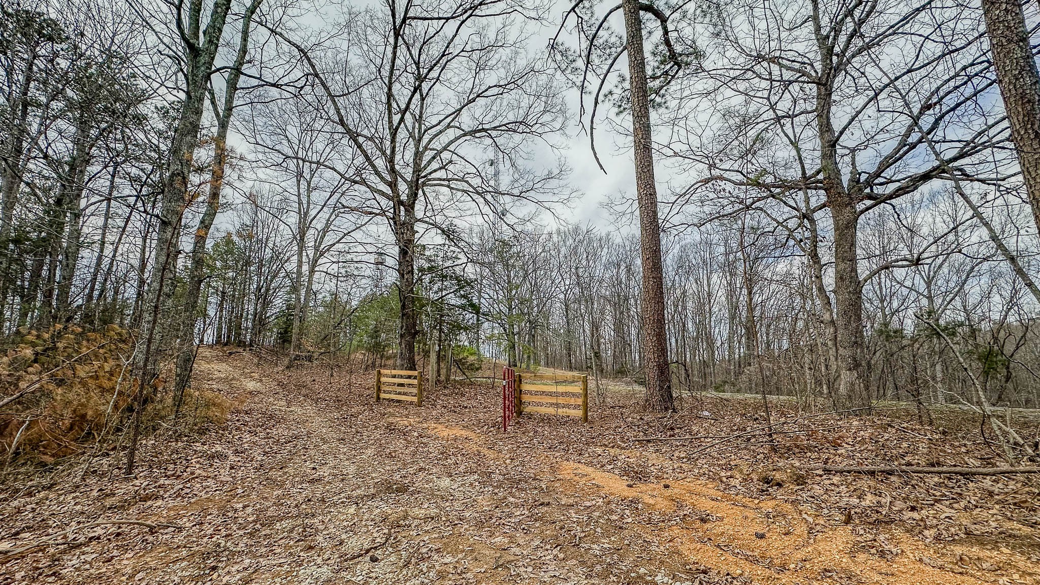 0 Highway 100 Property Photo 17