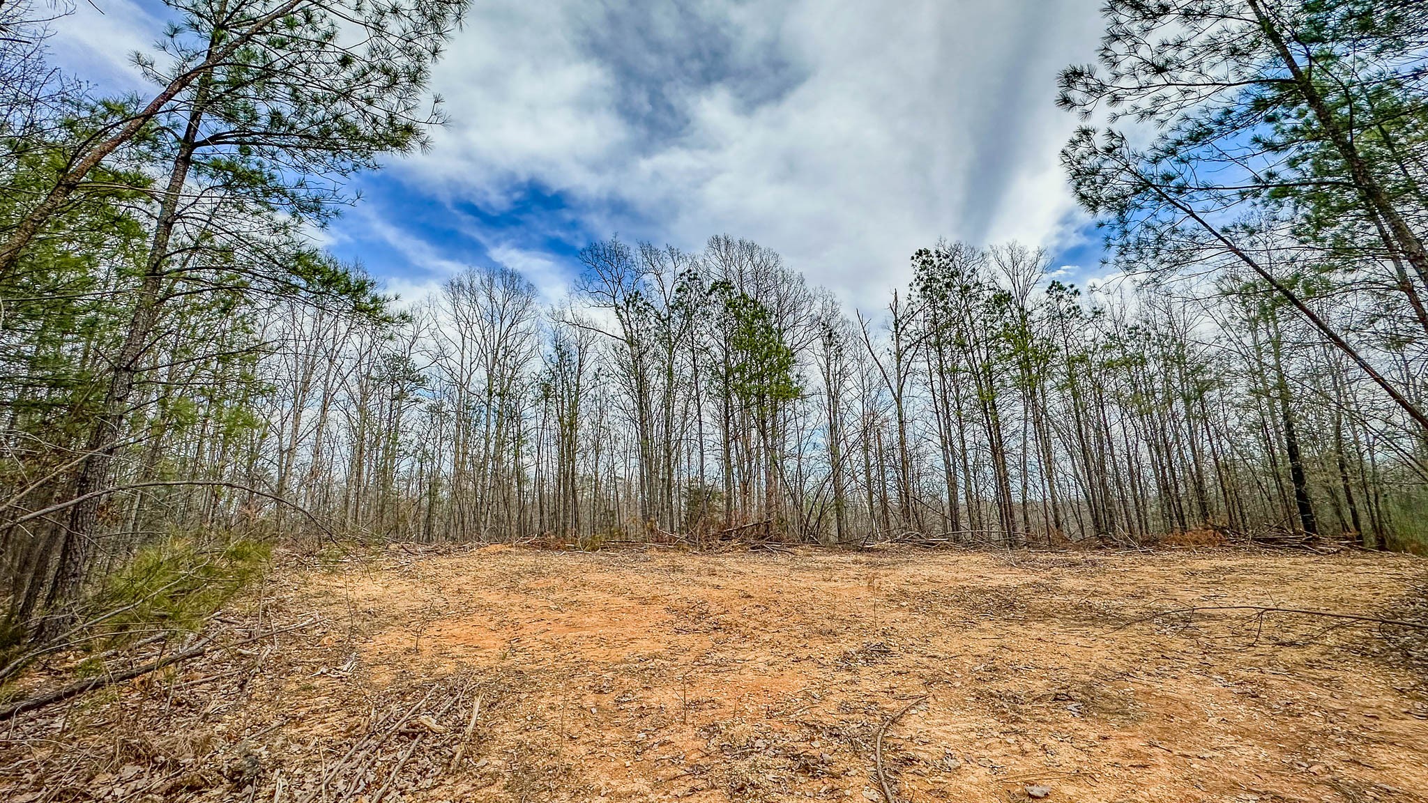 0 Highway 100 Property Photo 18