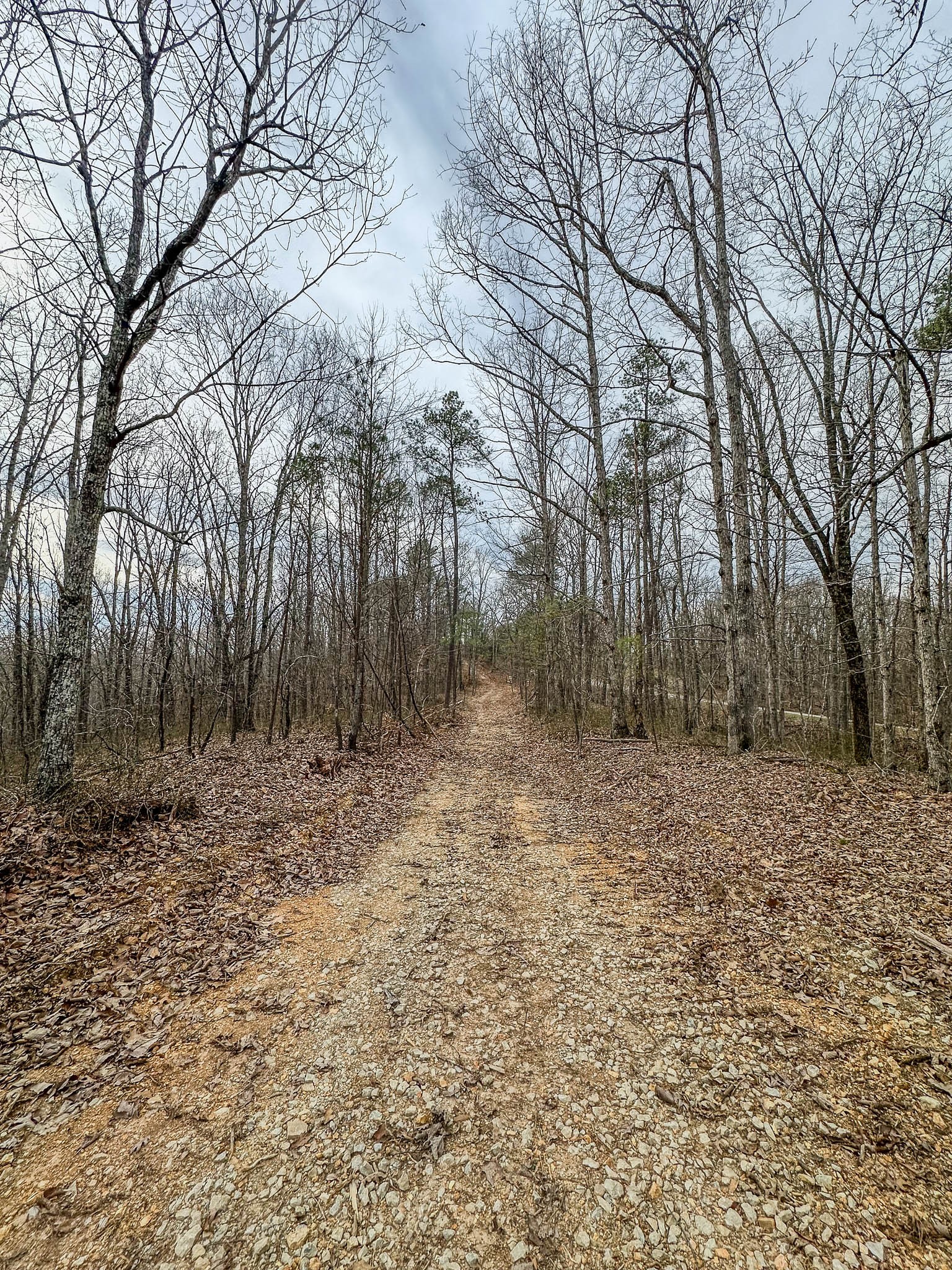 0 Highway 100 Property Photo 19