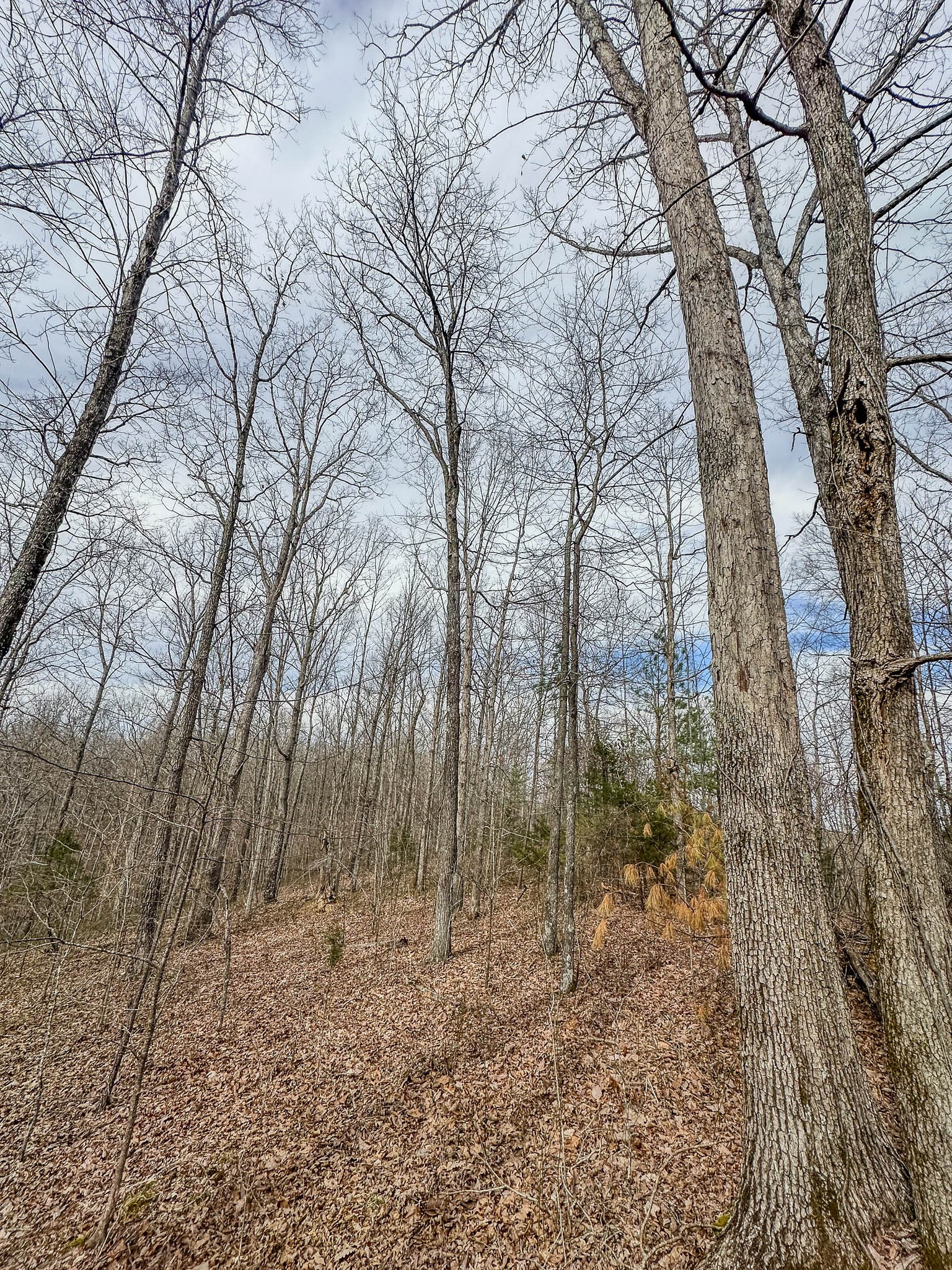 0 Highway 100 Property Photo 22