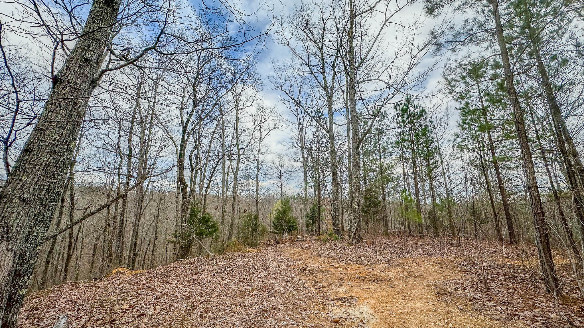 0 Highway 100 Property Photo 10