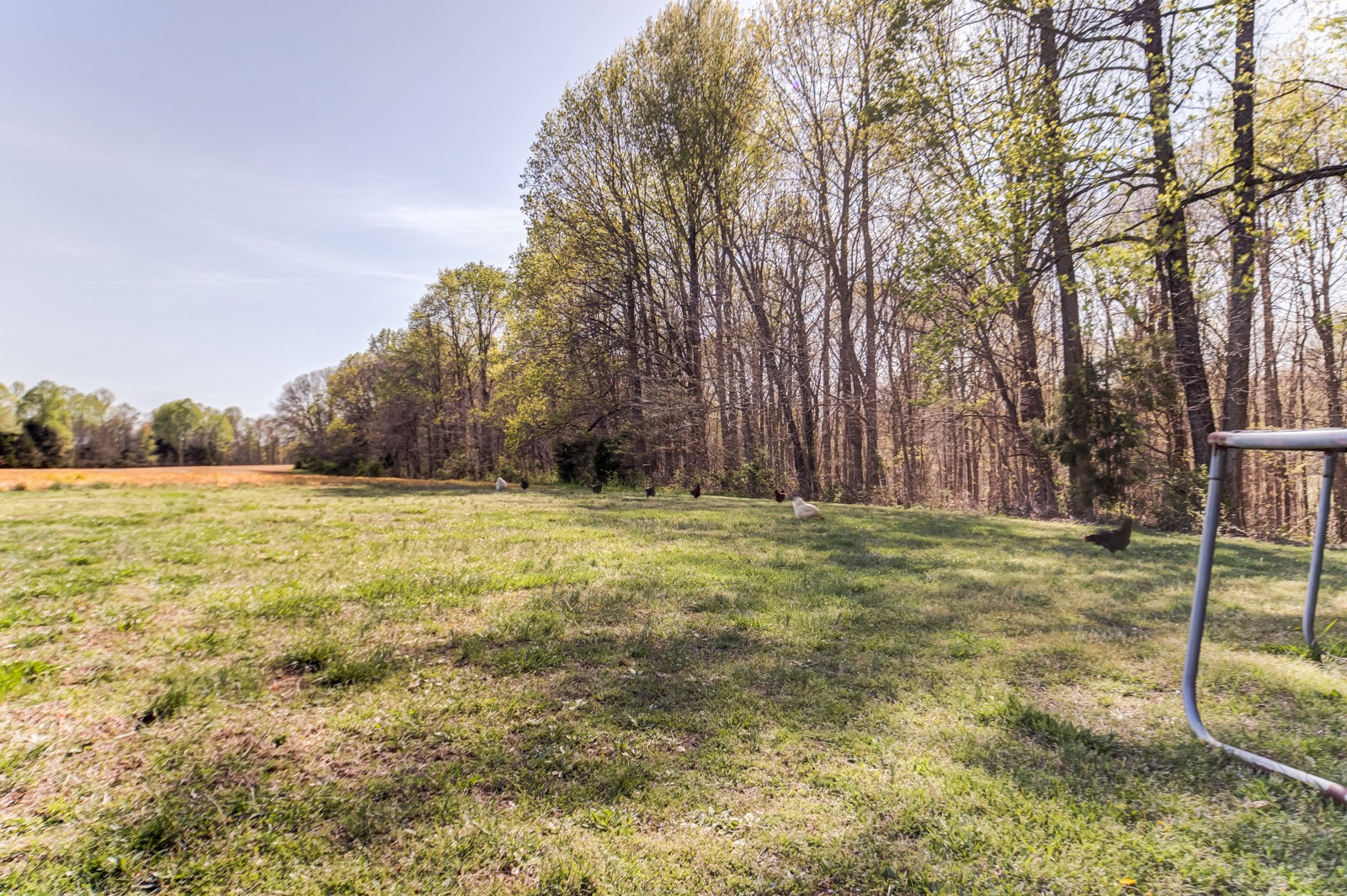 4974 Edgar Dillard Rd Property Photo 39