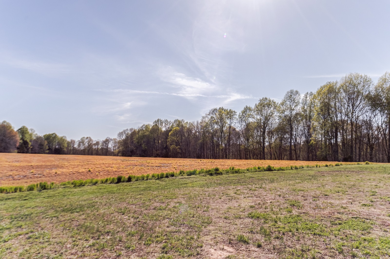 4974 Edgar Dillard Rd Property Photo 43