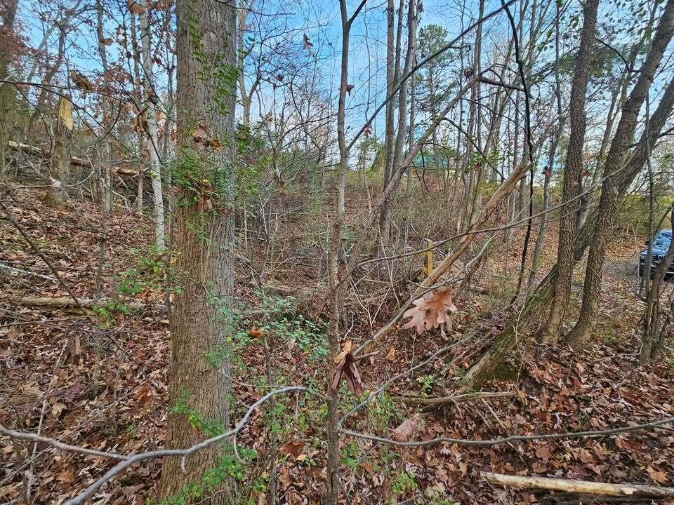 25 Countryside Drive Property Photo 9