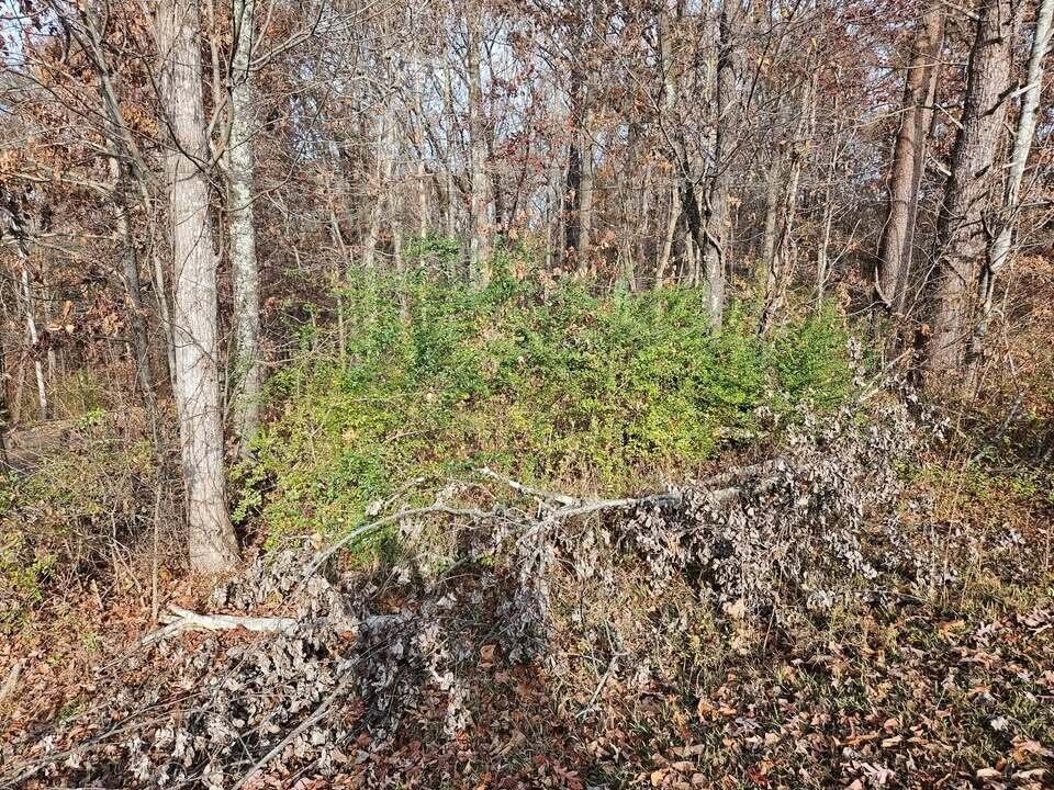 2930 Smyrna Heights Road Property Photo