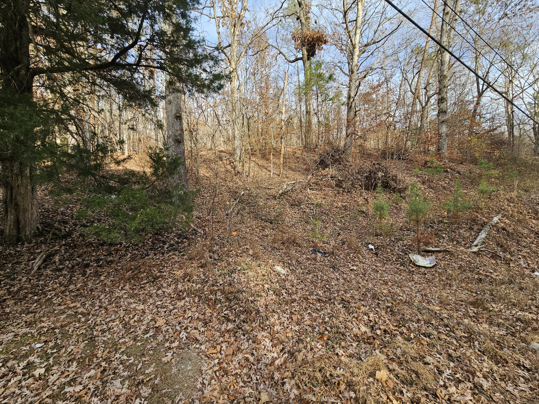 7 Smyrna Road Property Photo