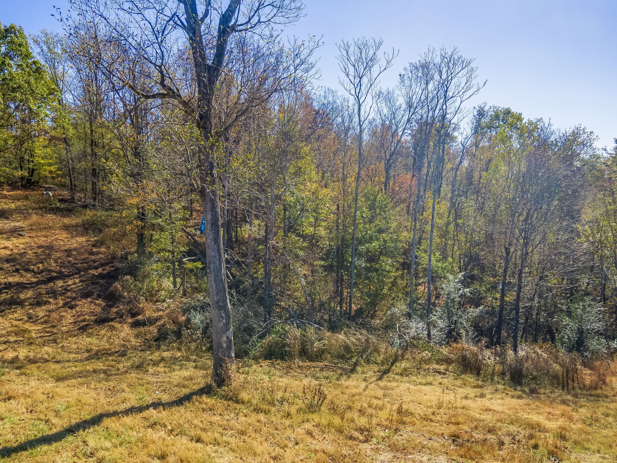 0 Persimmon Ridge Rd Property Photo 1