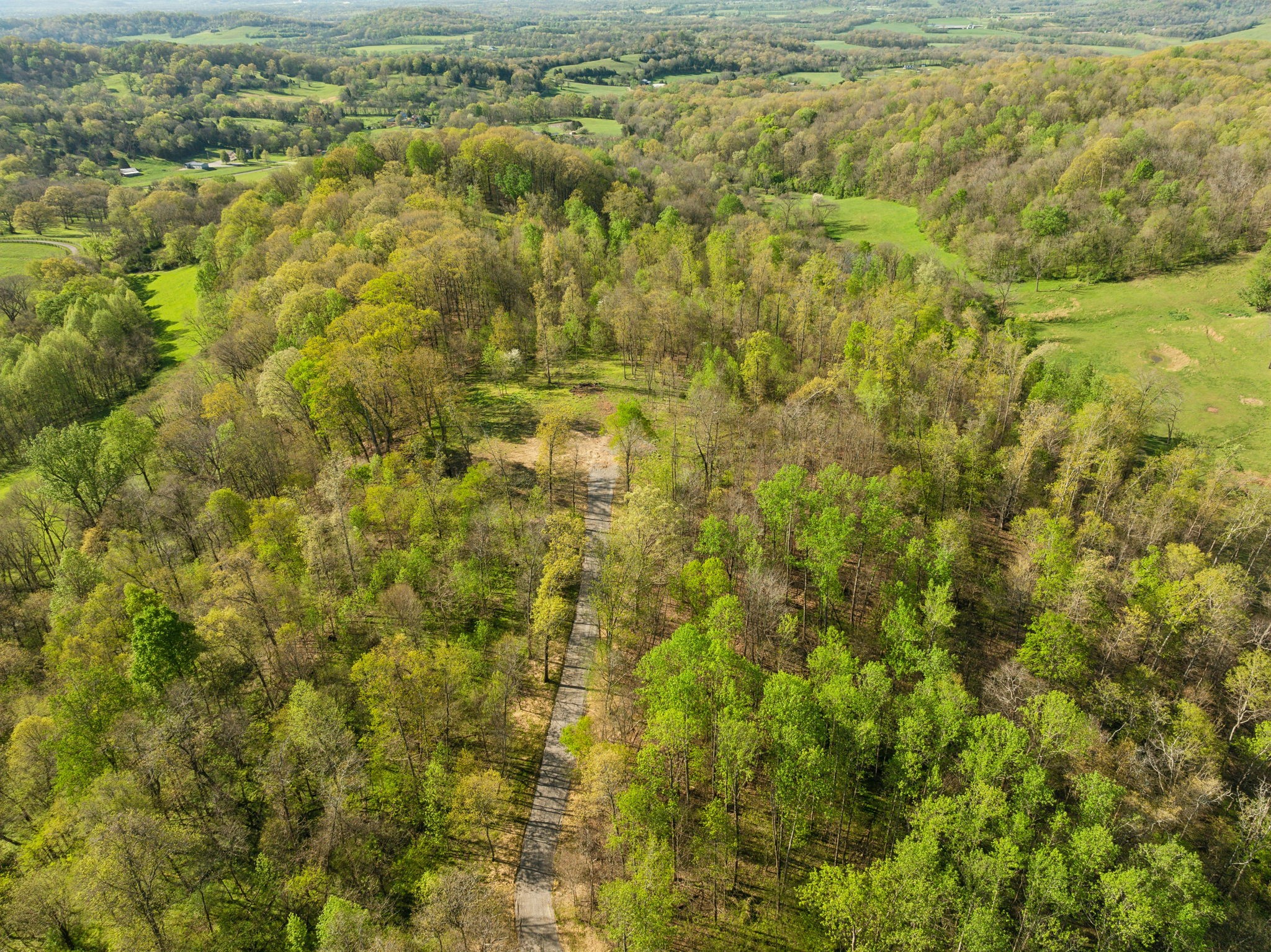 0 Persimmon Ridge Rd Property Photo 10