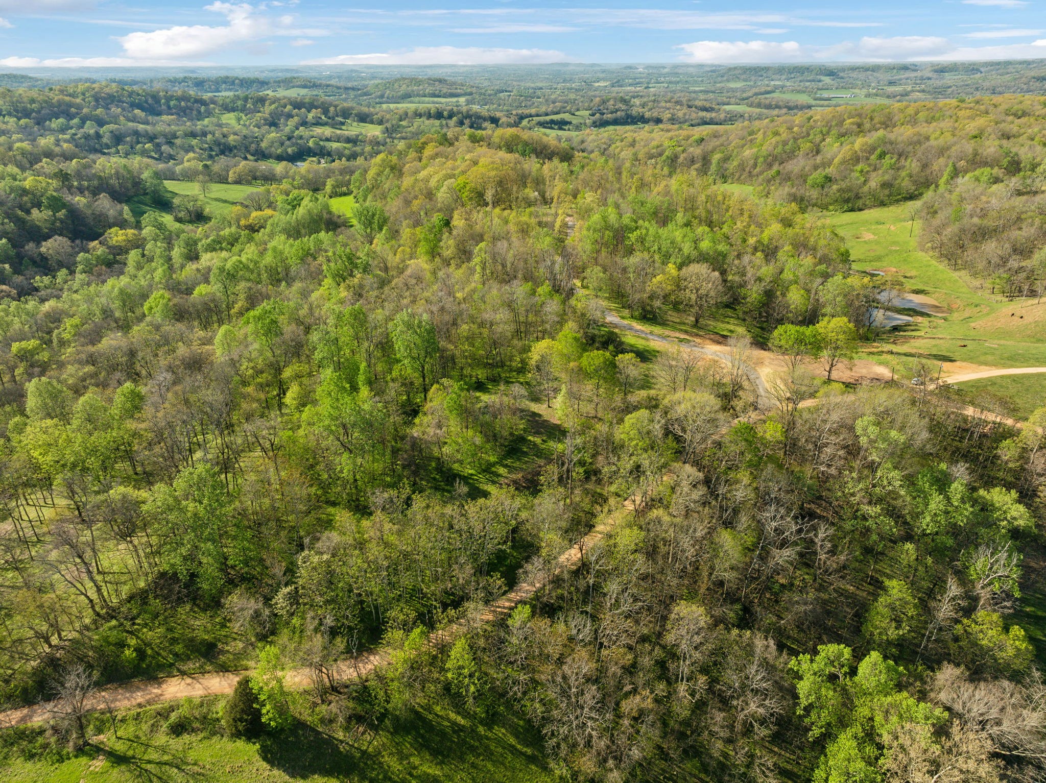 0 Persimmon Ridge Rd Property Photo 14