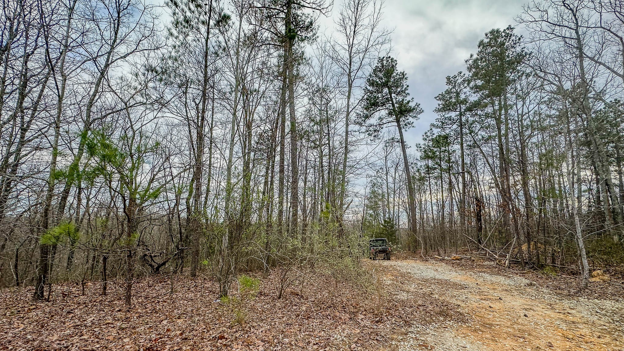 0 Highway 100 Property Photo 2
