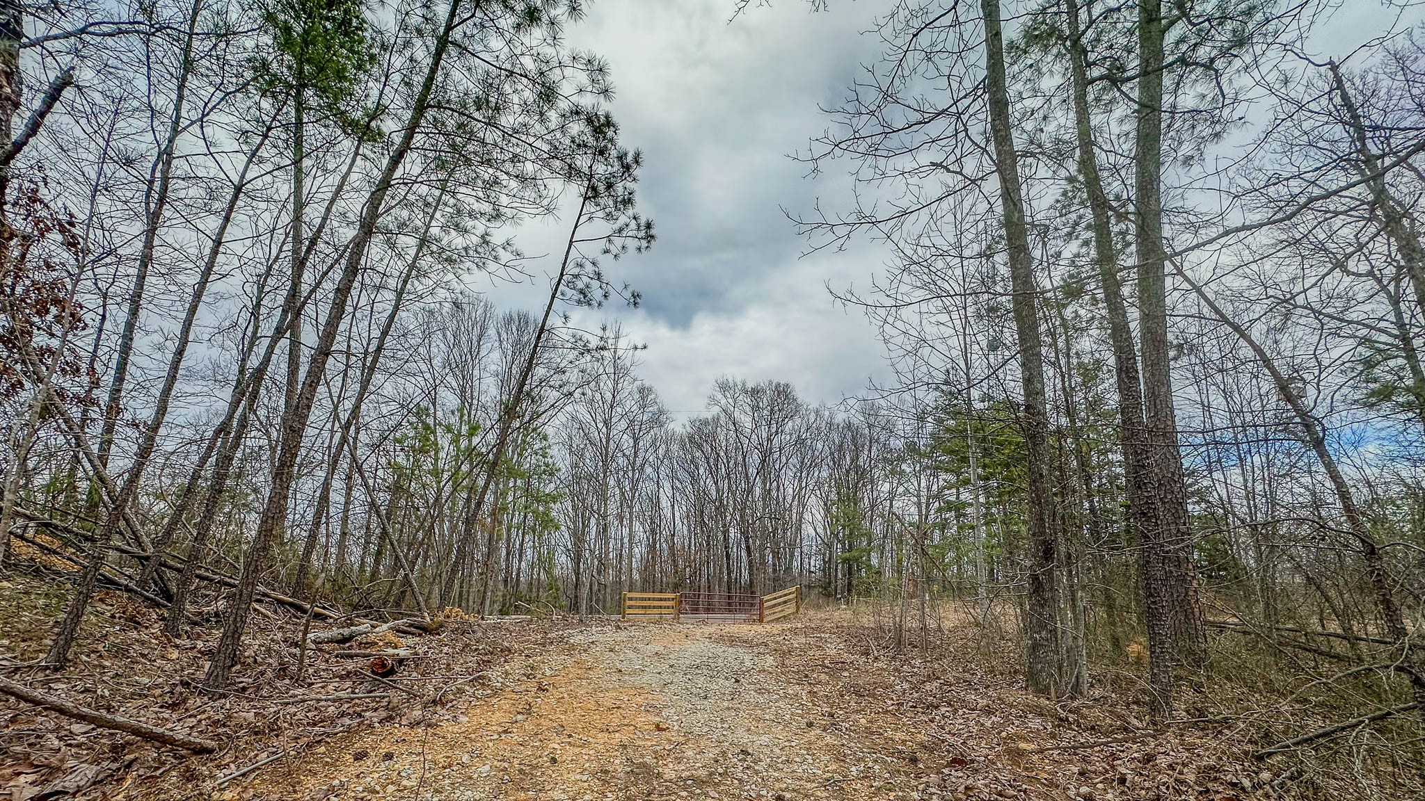 0 Highway 100 Property Photo 5